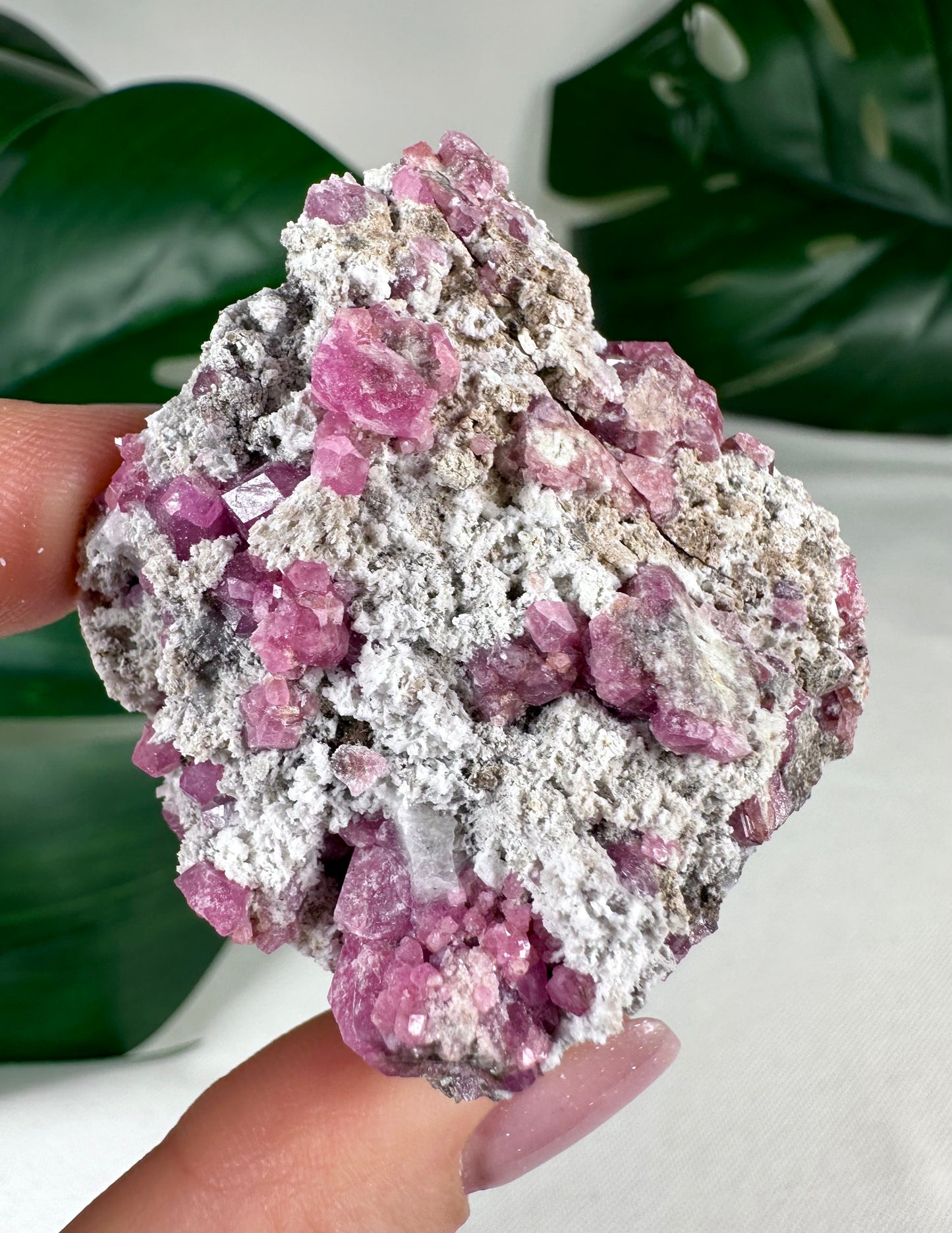 Pinker Granat Nr.37PR
