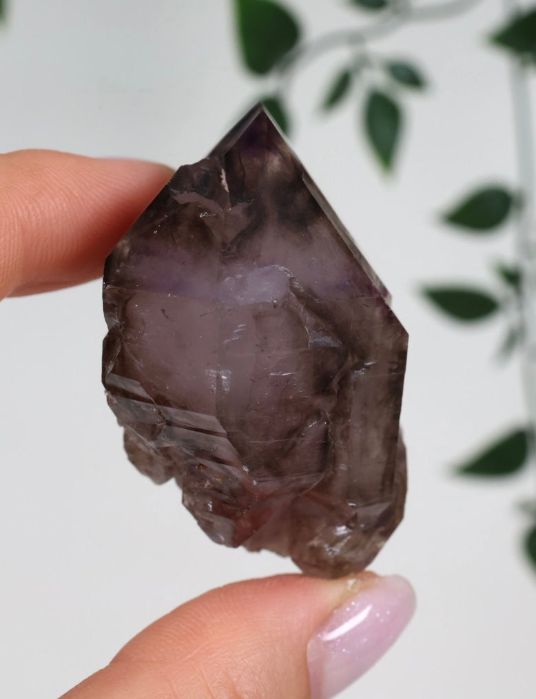 Shangaan Amethyst x Rauchquarz x Hämatit Nr.44SA