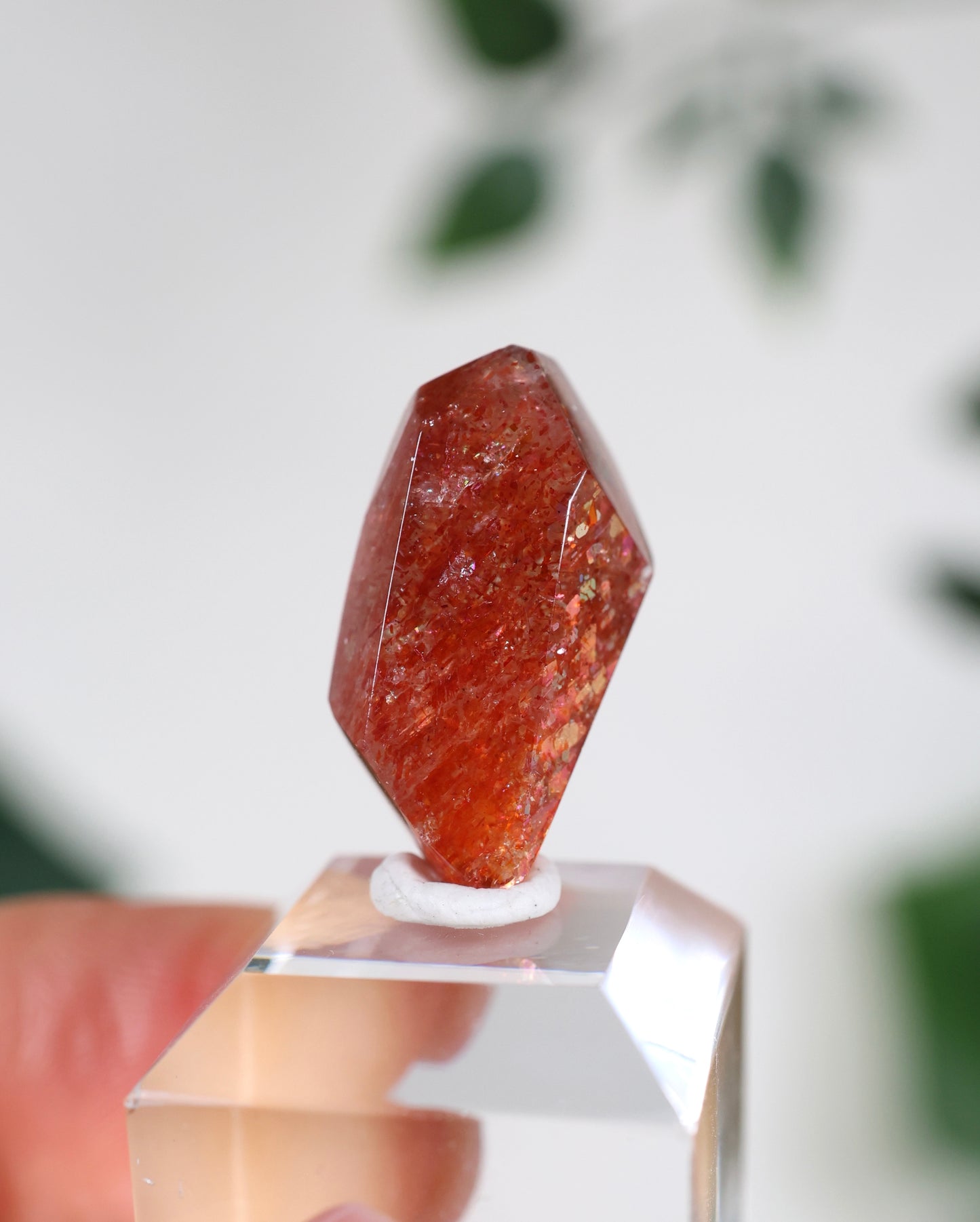 Sonnenstein in Quarz Nr.34SQ