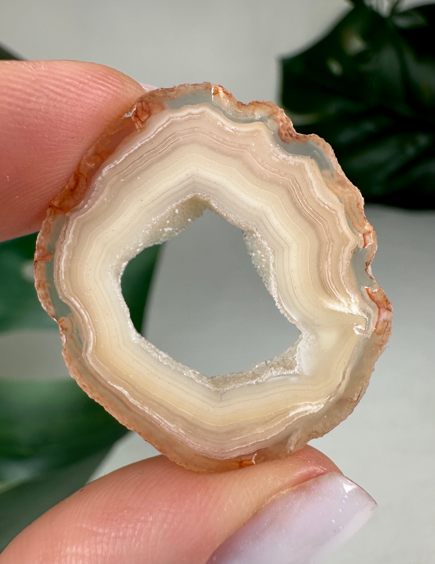 Coyamito Agate Slice - Yellow - Selection