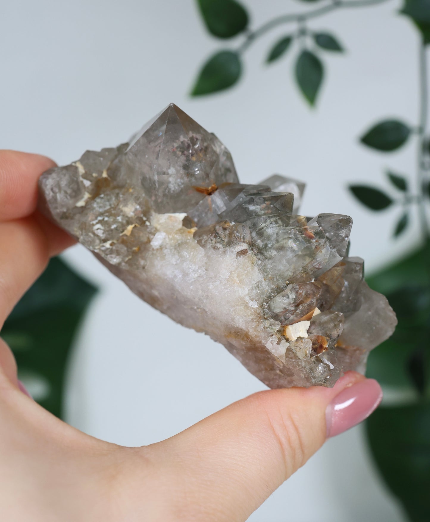 Gartenquarz x Rutil Cluster Nr.118GQ