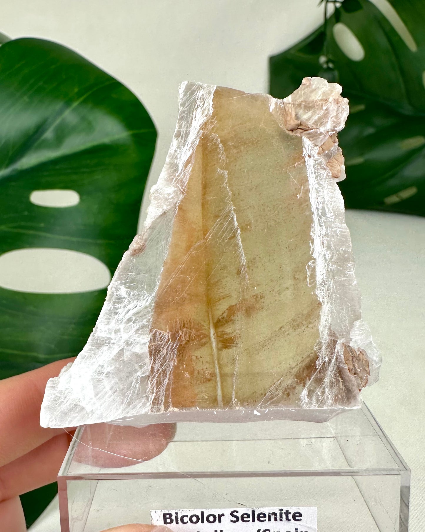 Bicolor Selenite No. 36BS