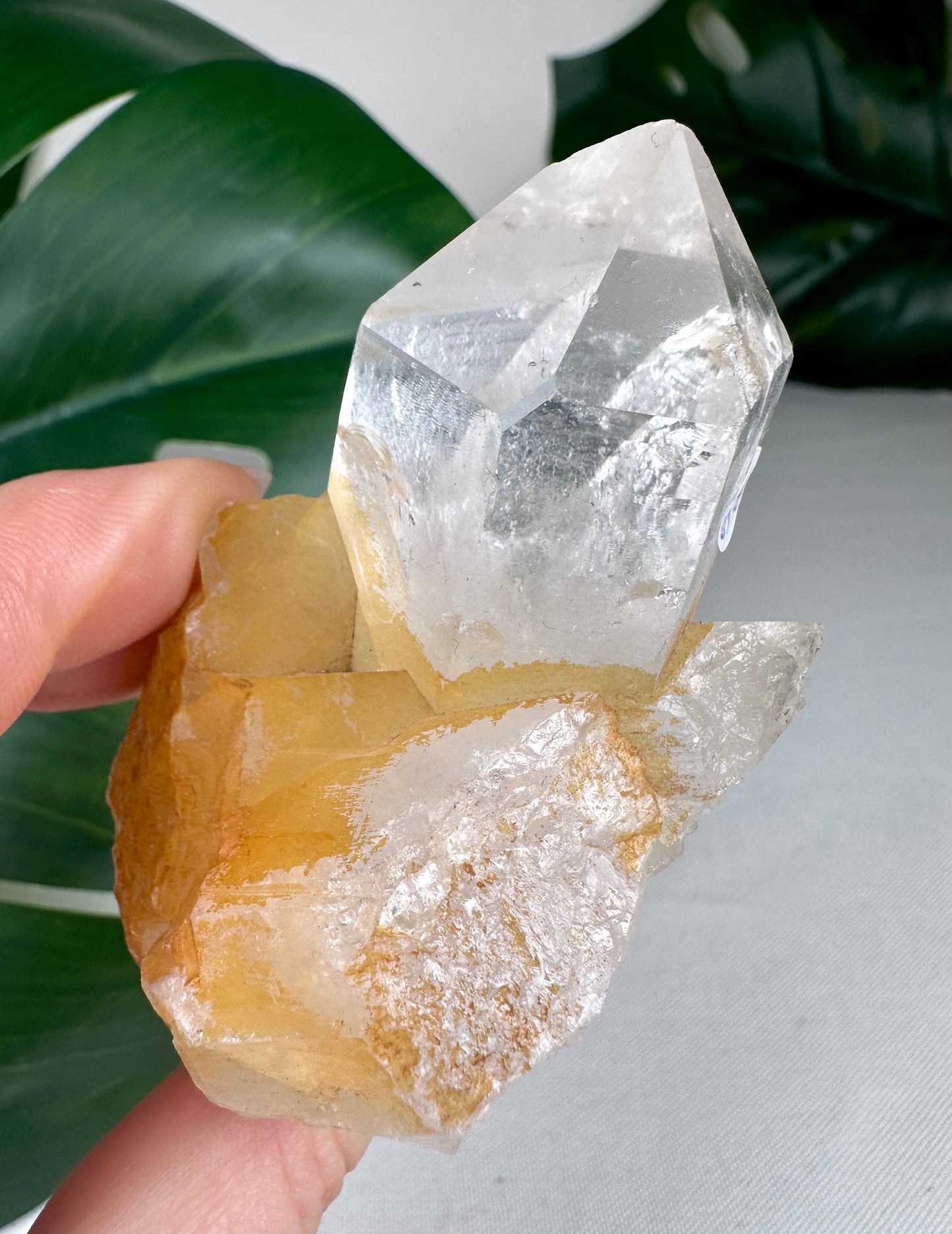 Himalaya Quarz Spitze Nr.53HG