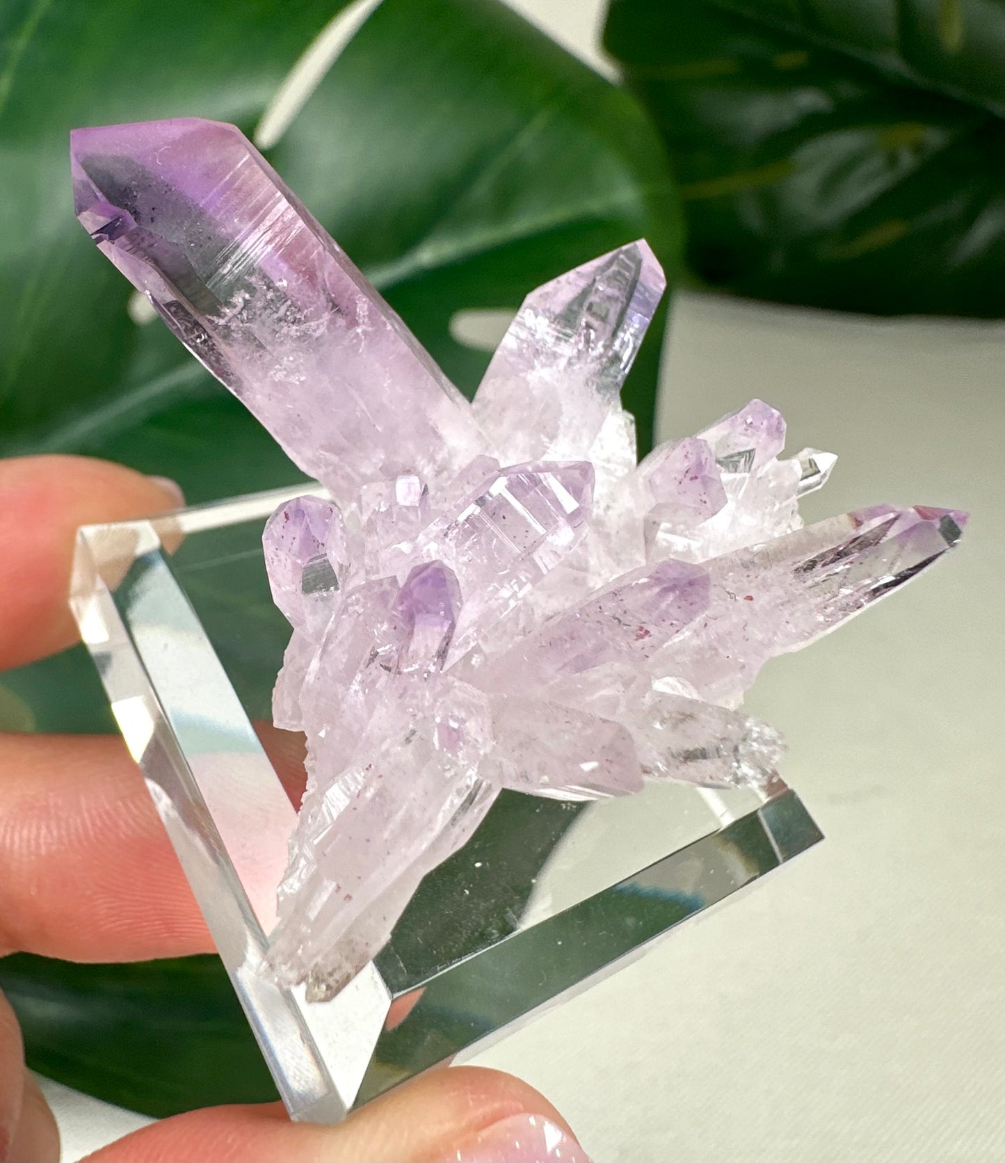 Vera Cruz Amethyst Nr. 149VC
