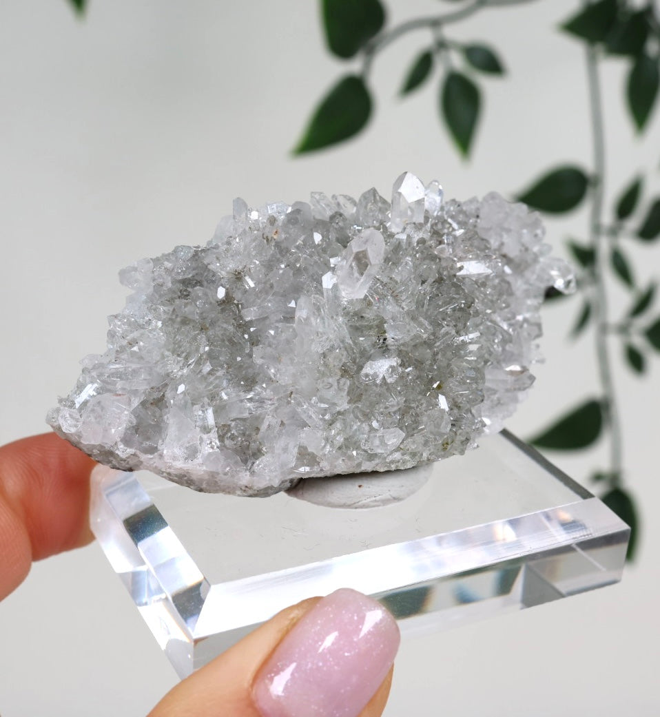 Starburst Quarz x Hämatit Goboboseb Nr.168GS
