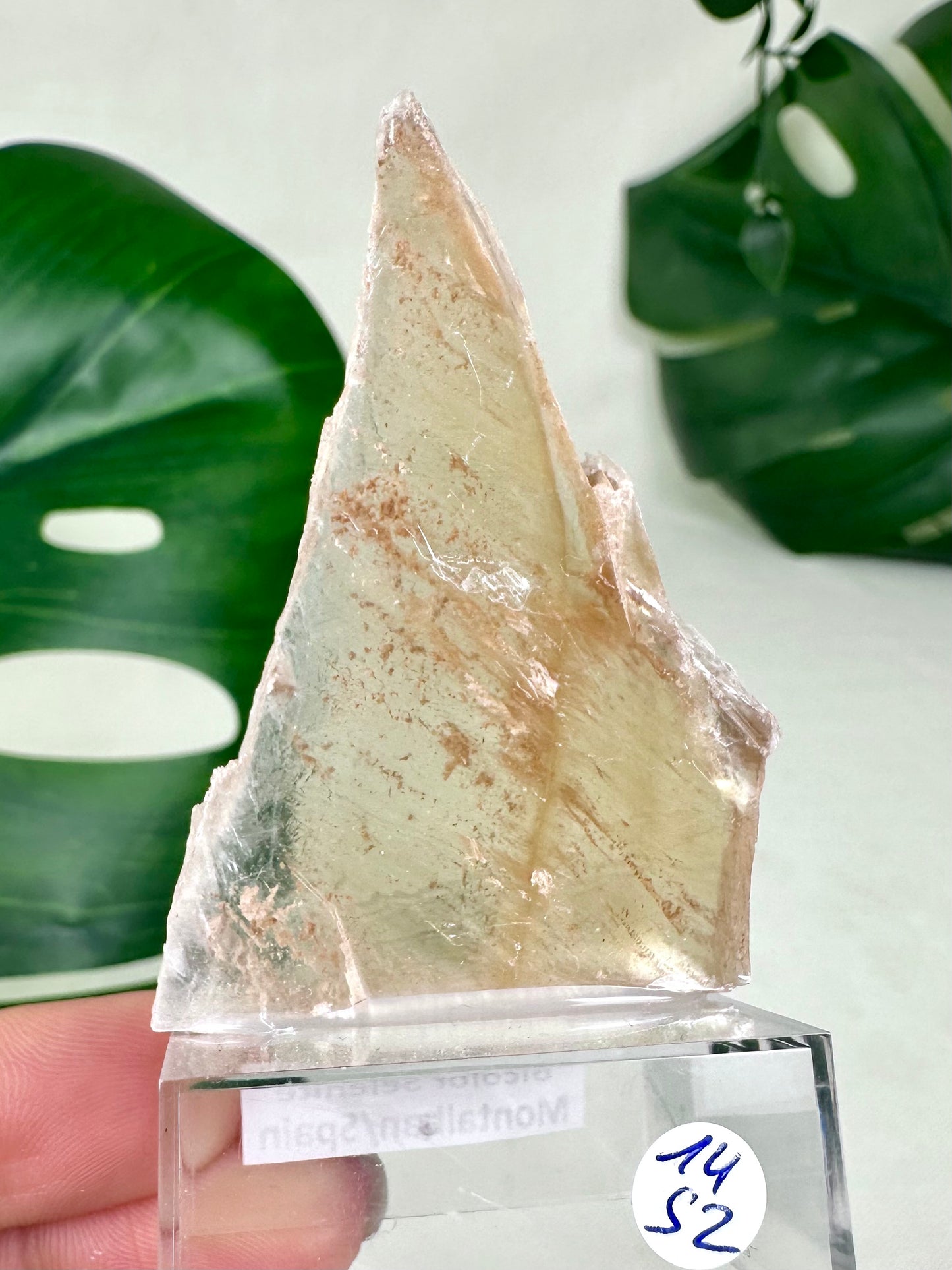 Bicolor Selenite No. 14S2