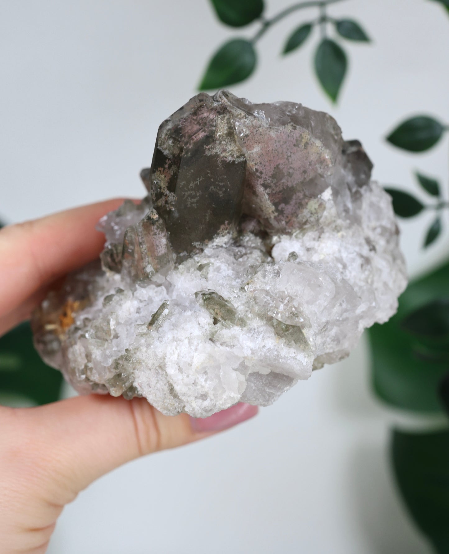 Gartenquarz x Rutil Cluster Nr.99GR