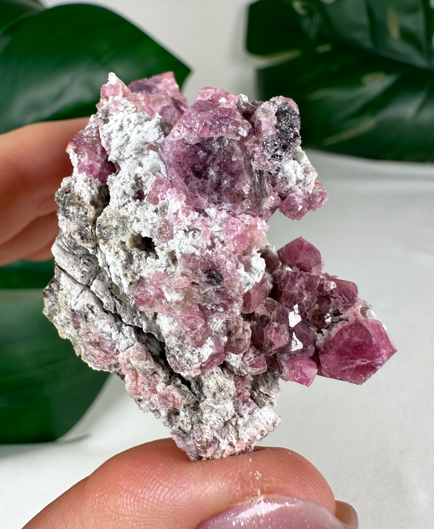 Pinker Granat Nr.36PG