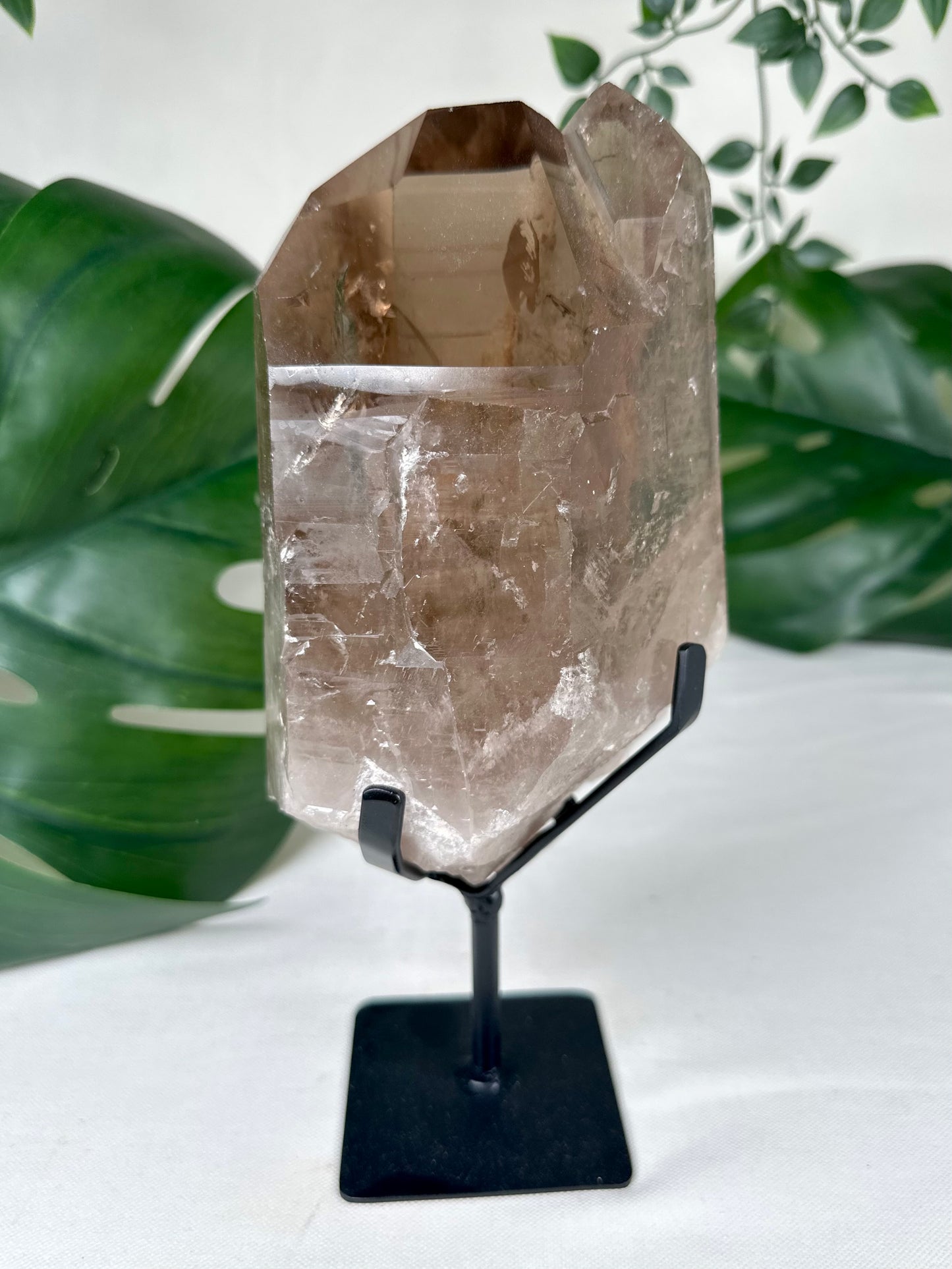 Rauchquarz Lemurian XL Nr.630LR
