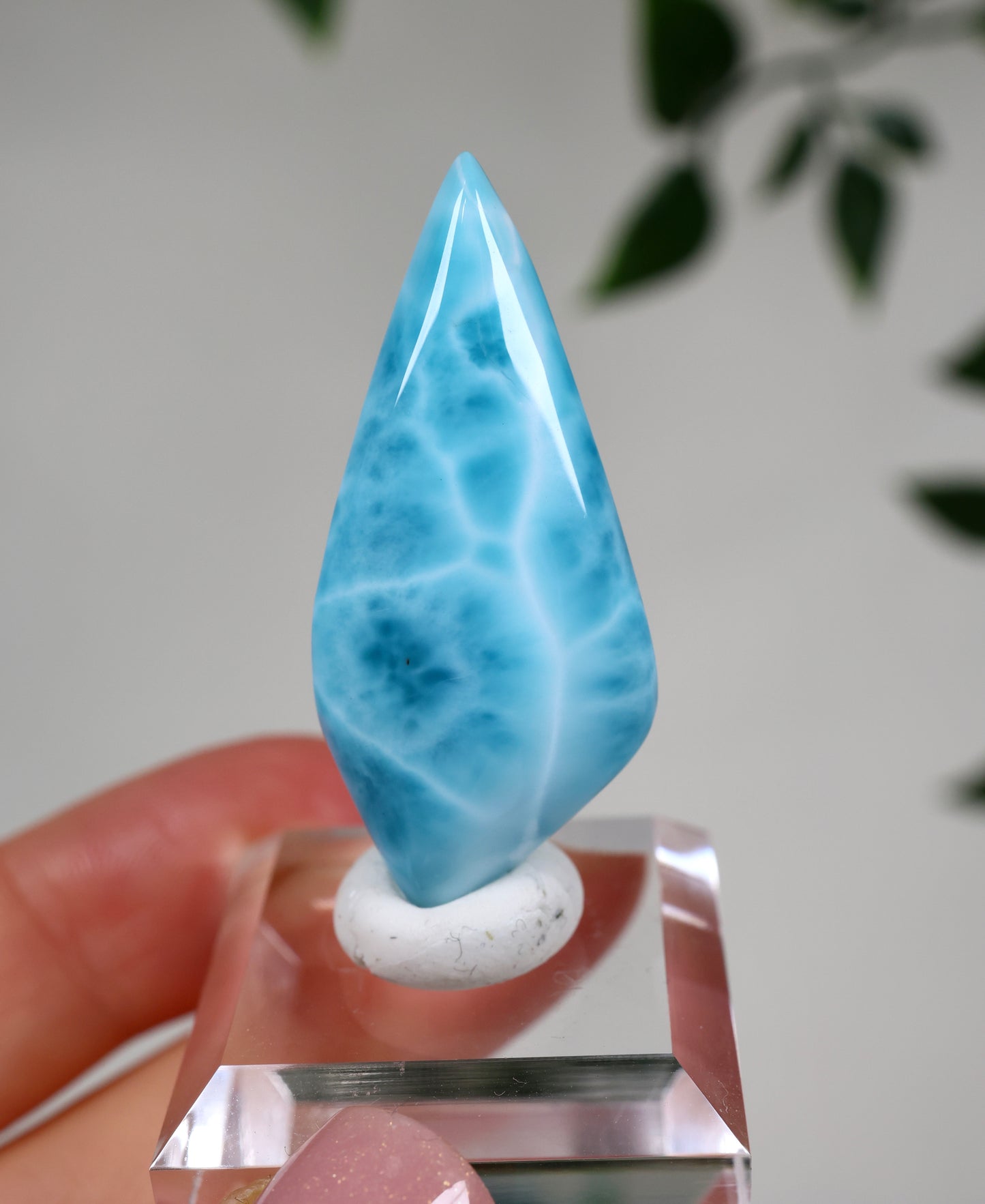 Larimar HQ Nr.236LA
