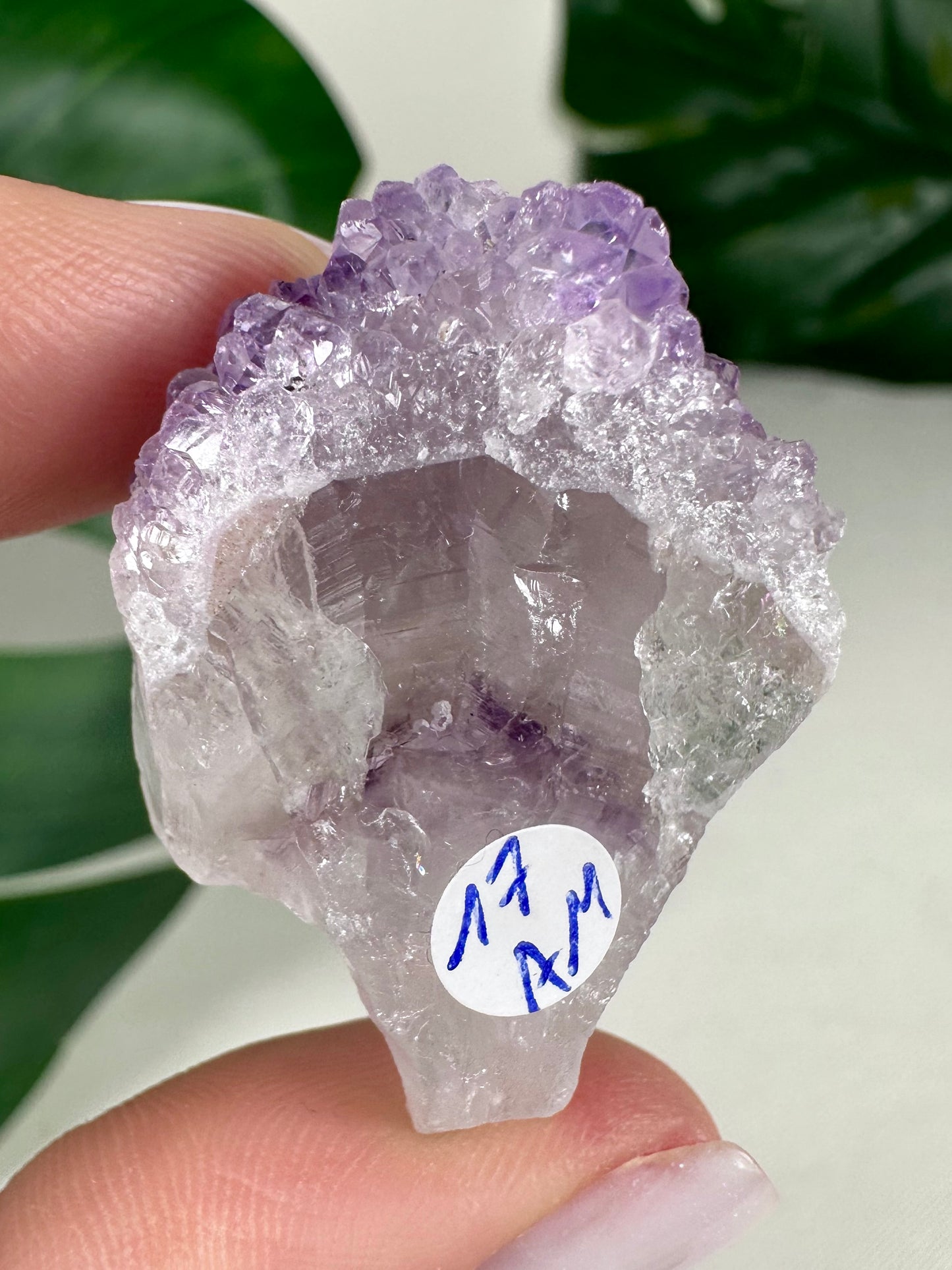 Amethyst-Quarz Zepter Nr.17AM