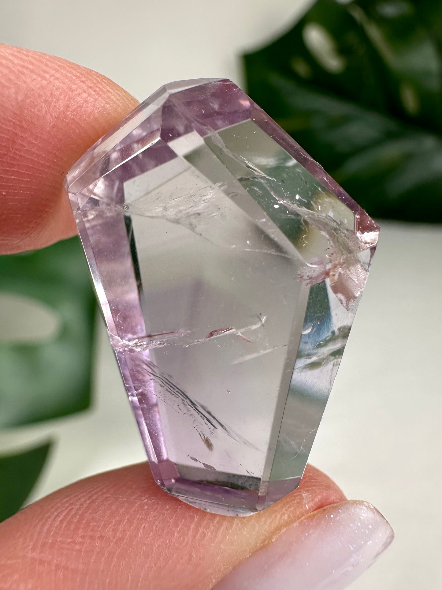 Rose de France Amethyst - Selection