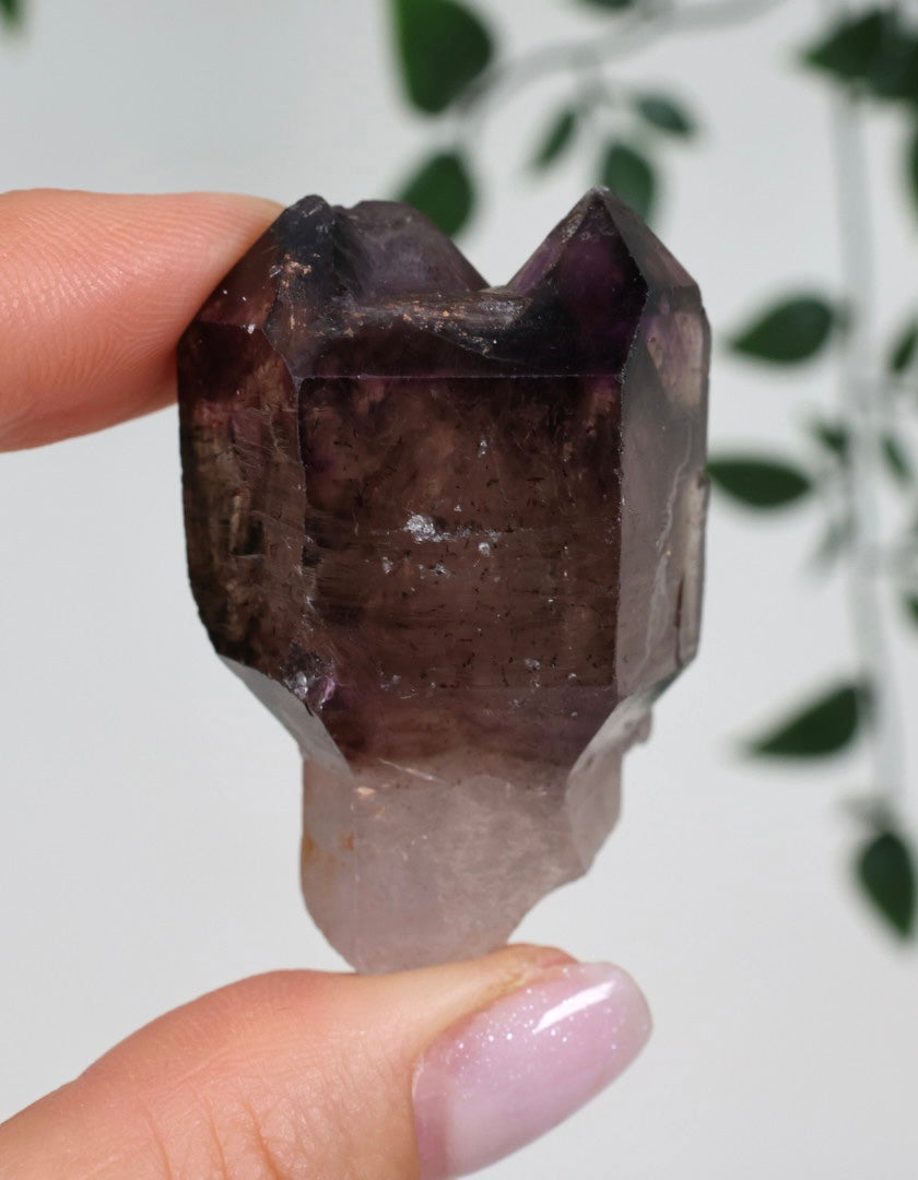 Shangaan Amethyst x Rauchquarz x Hämatit Nr.34SA