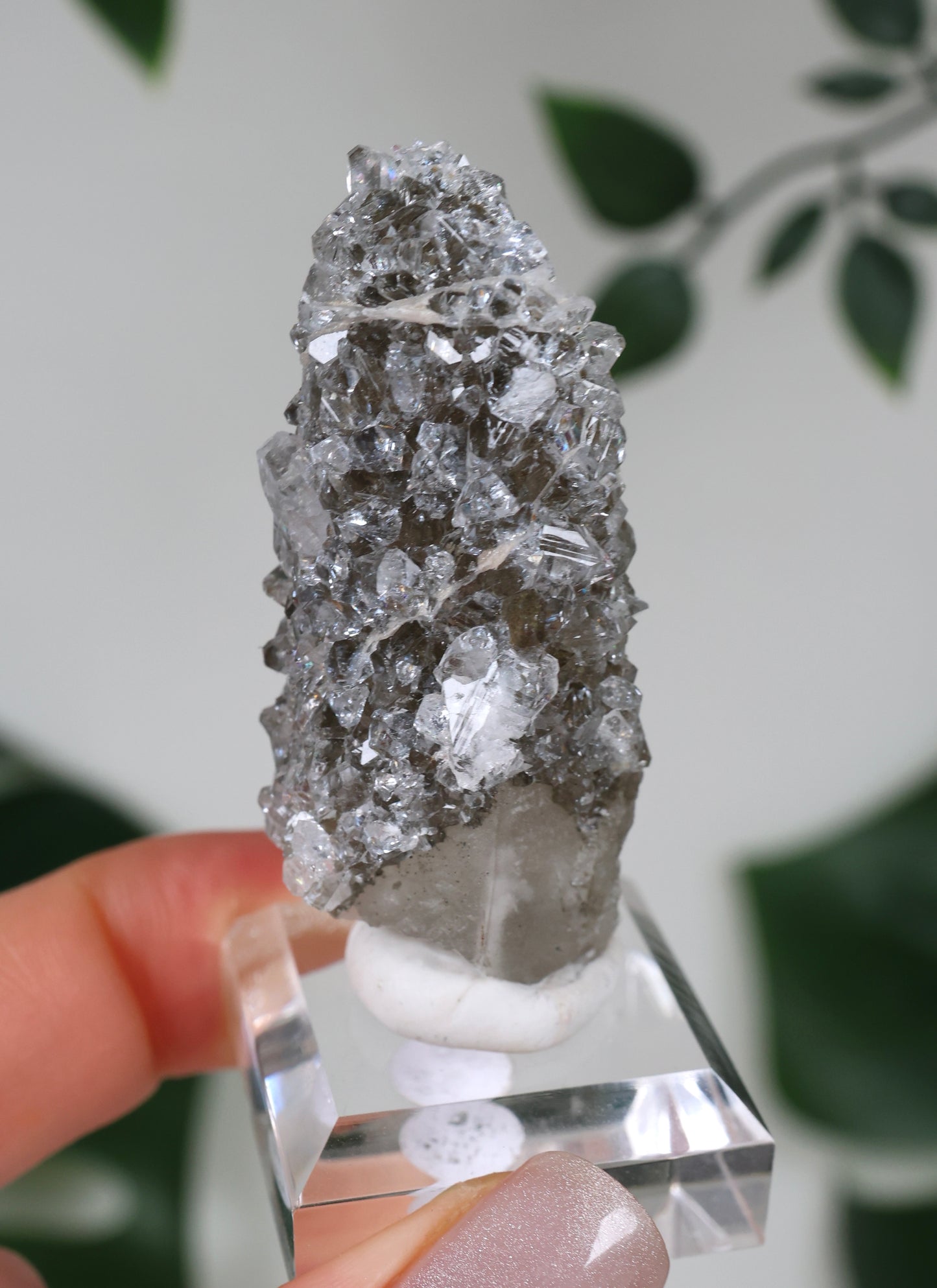 Apophyllit x Quarz x Chlorit Nr.104QA