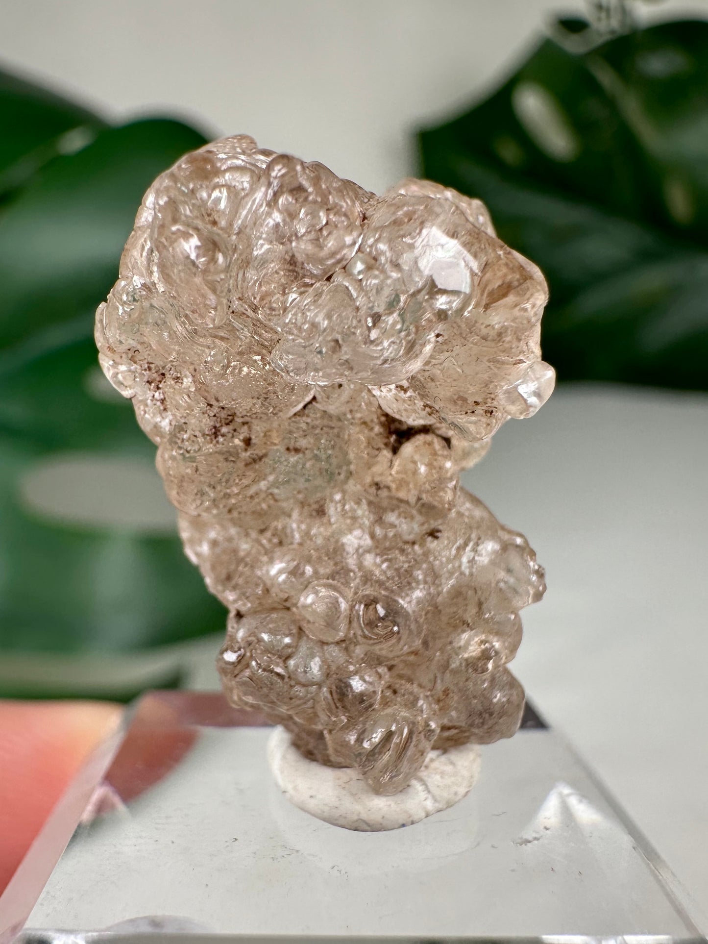 Hyalit Opal Nr.12HO