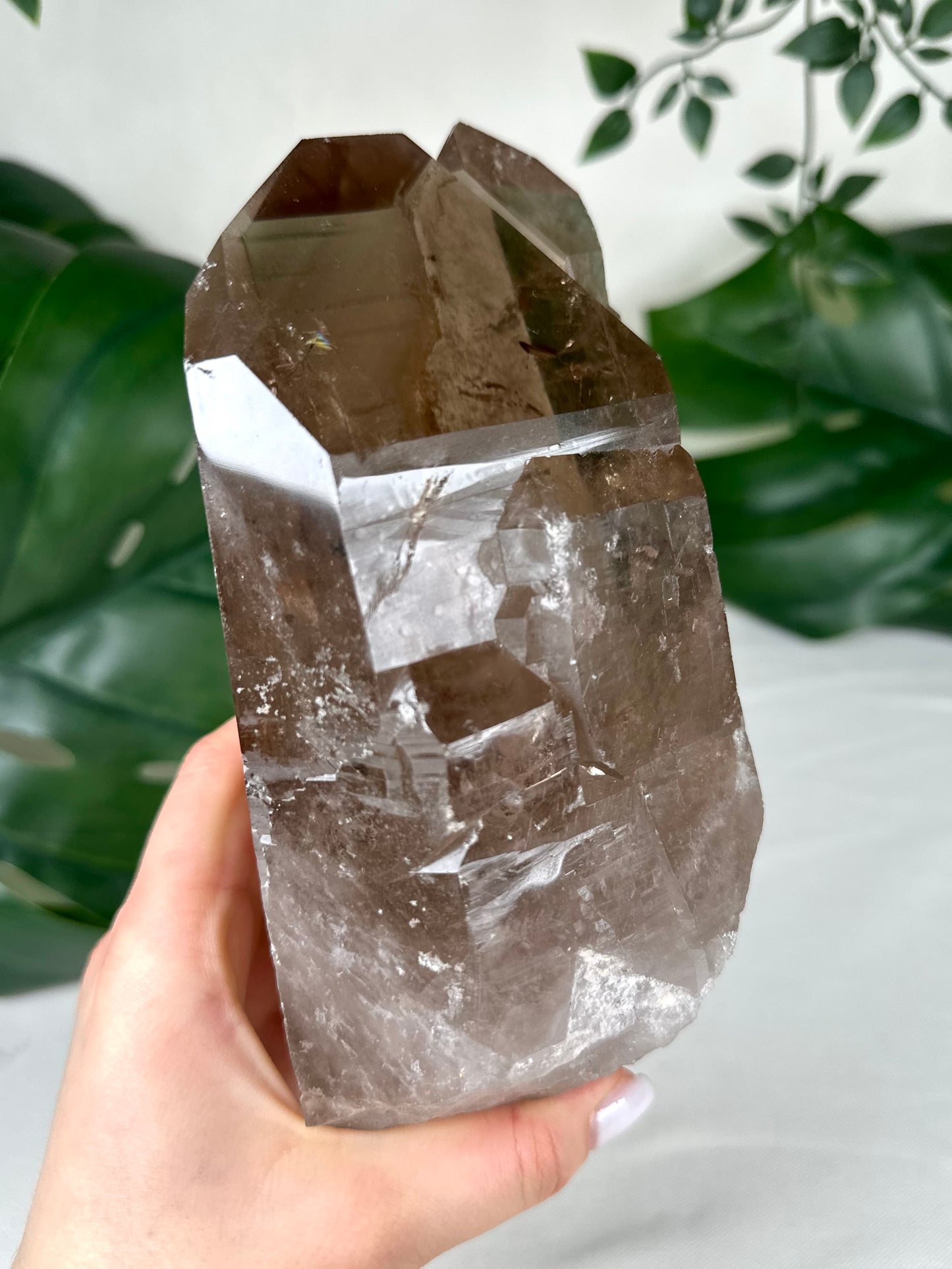 Rauchquarz Lemurian XL Nr.630LR