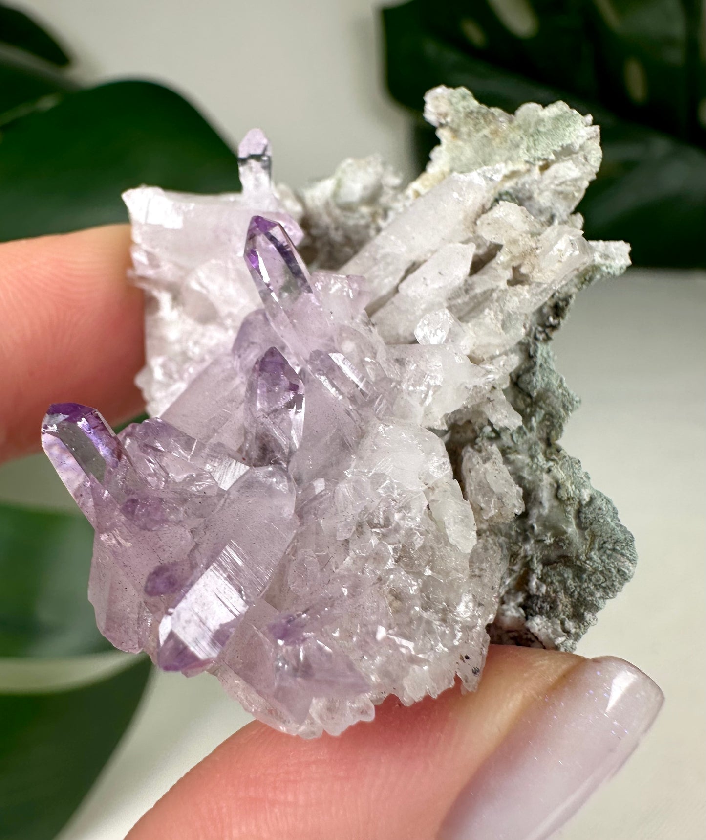 Vera Cruz Amethyst Nr.50VC