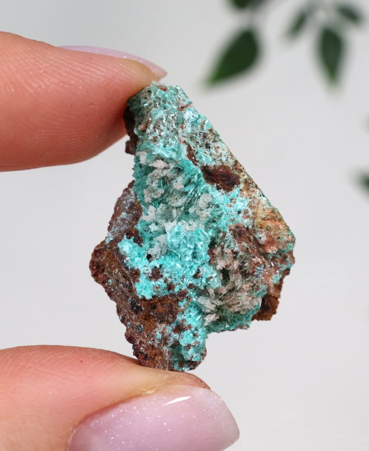 Aurichalcite - Auswahl