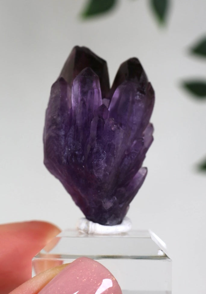 Amethyst - Neufund Nr.49AK