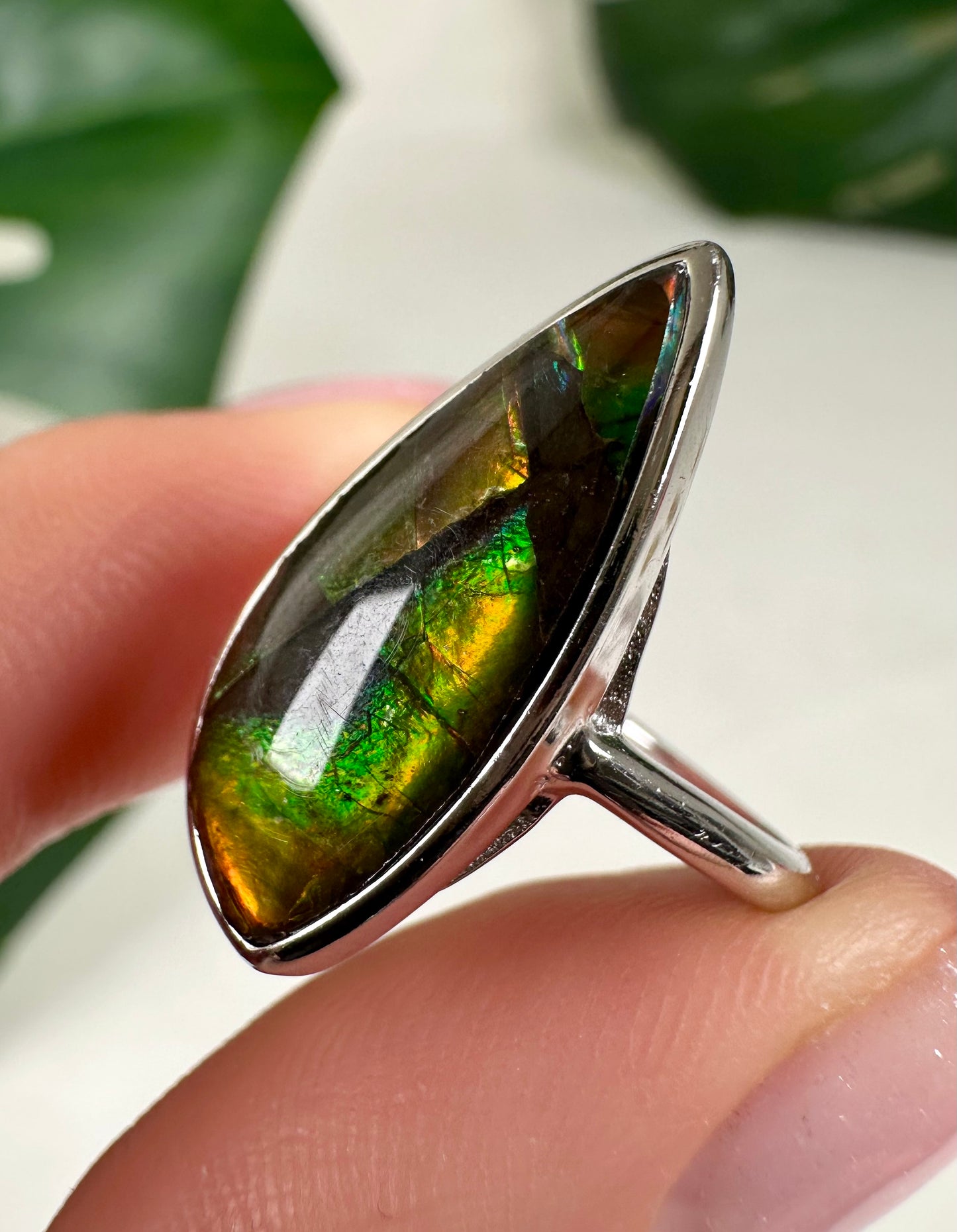 Ammolit Ring in 925 Silber Nr.115A2