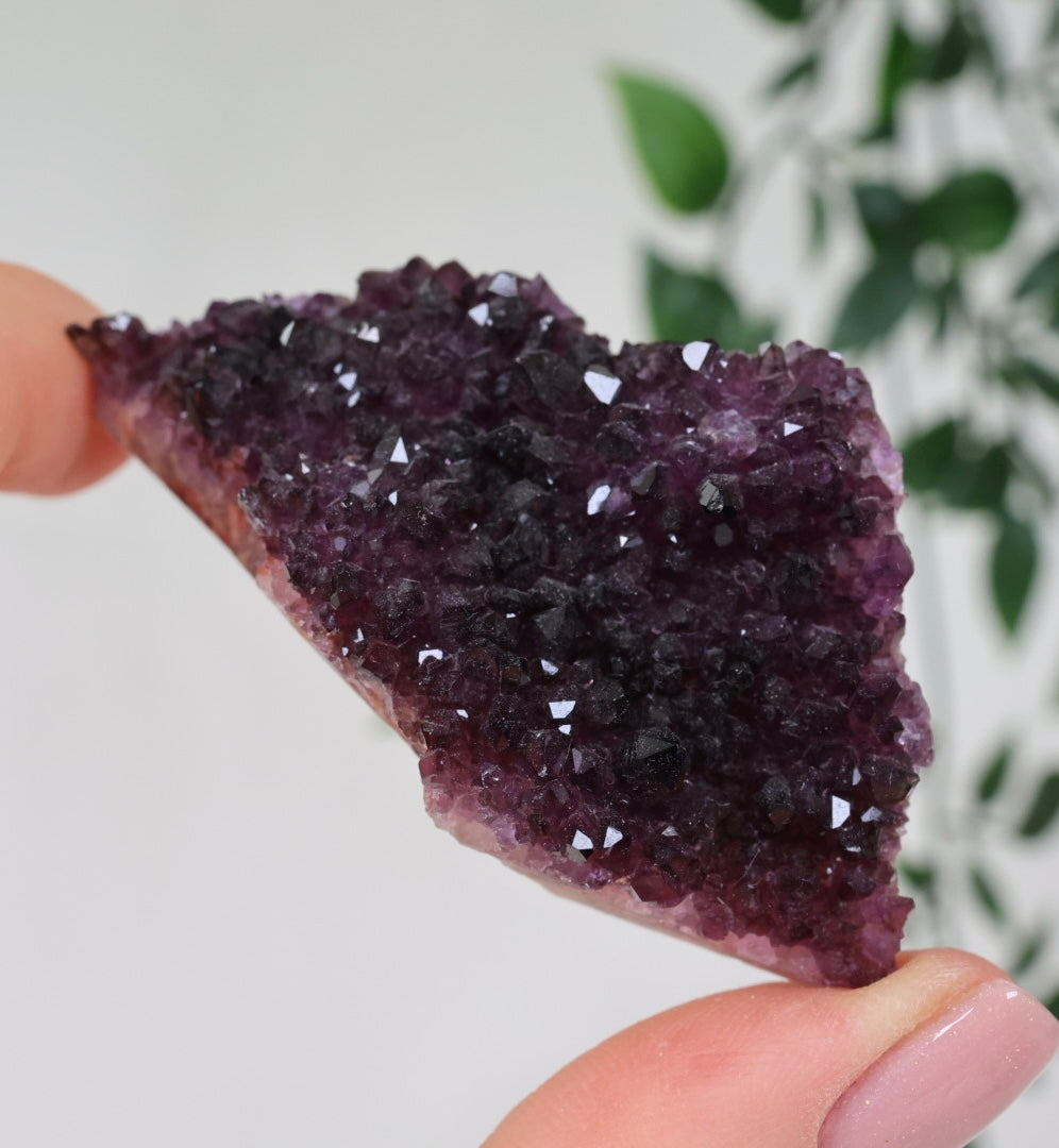 Alacam Amethyst Nr.14AC