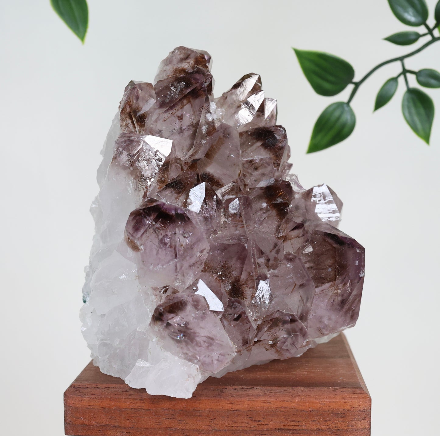 Amethyst x Goethit Nr.174AG