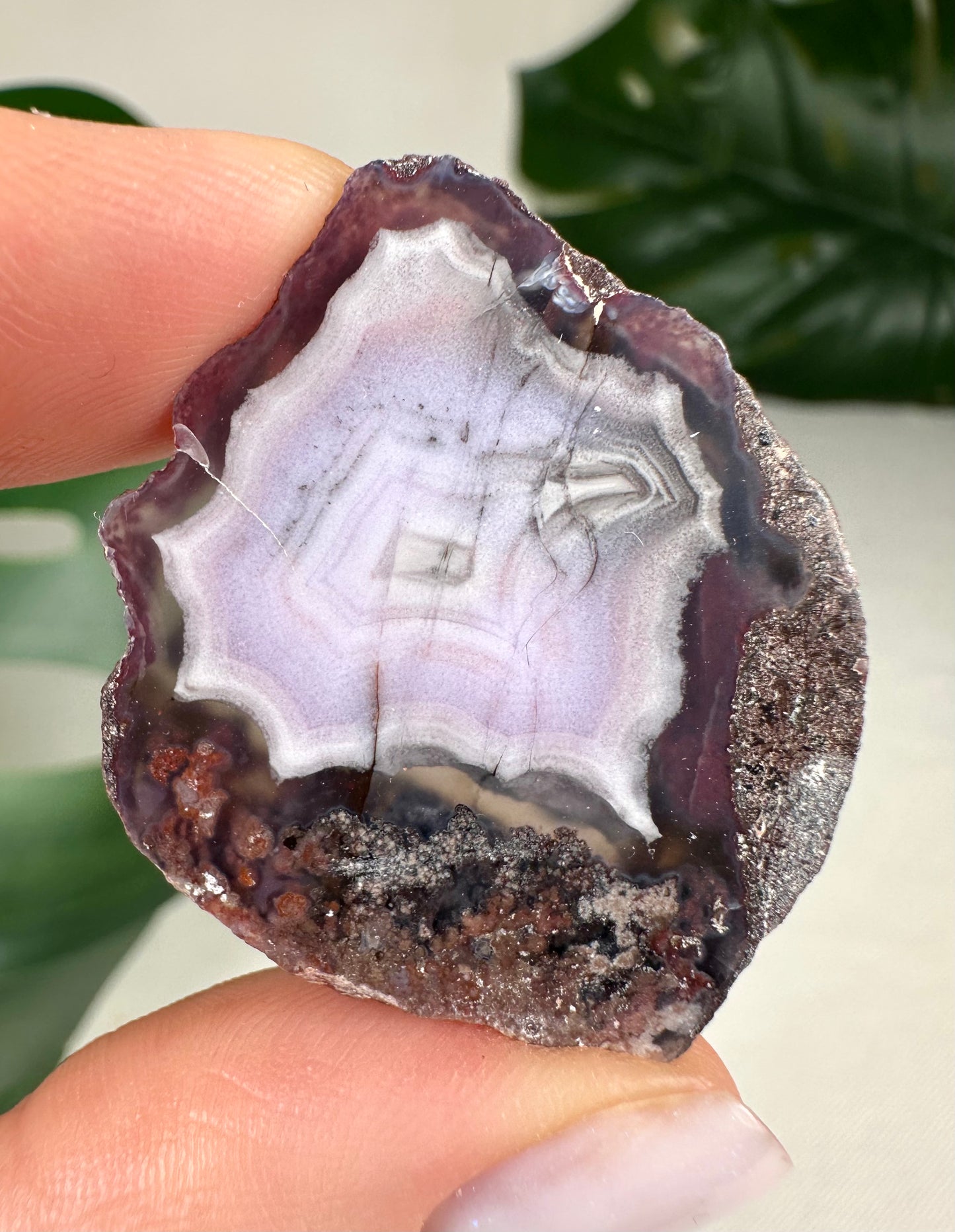 Coyamito Agate Slice - Purple - Selection