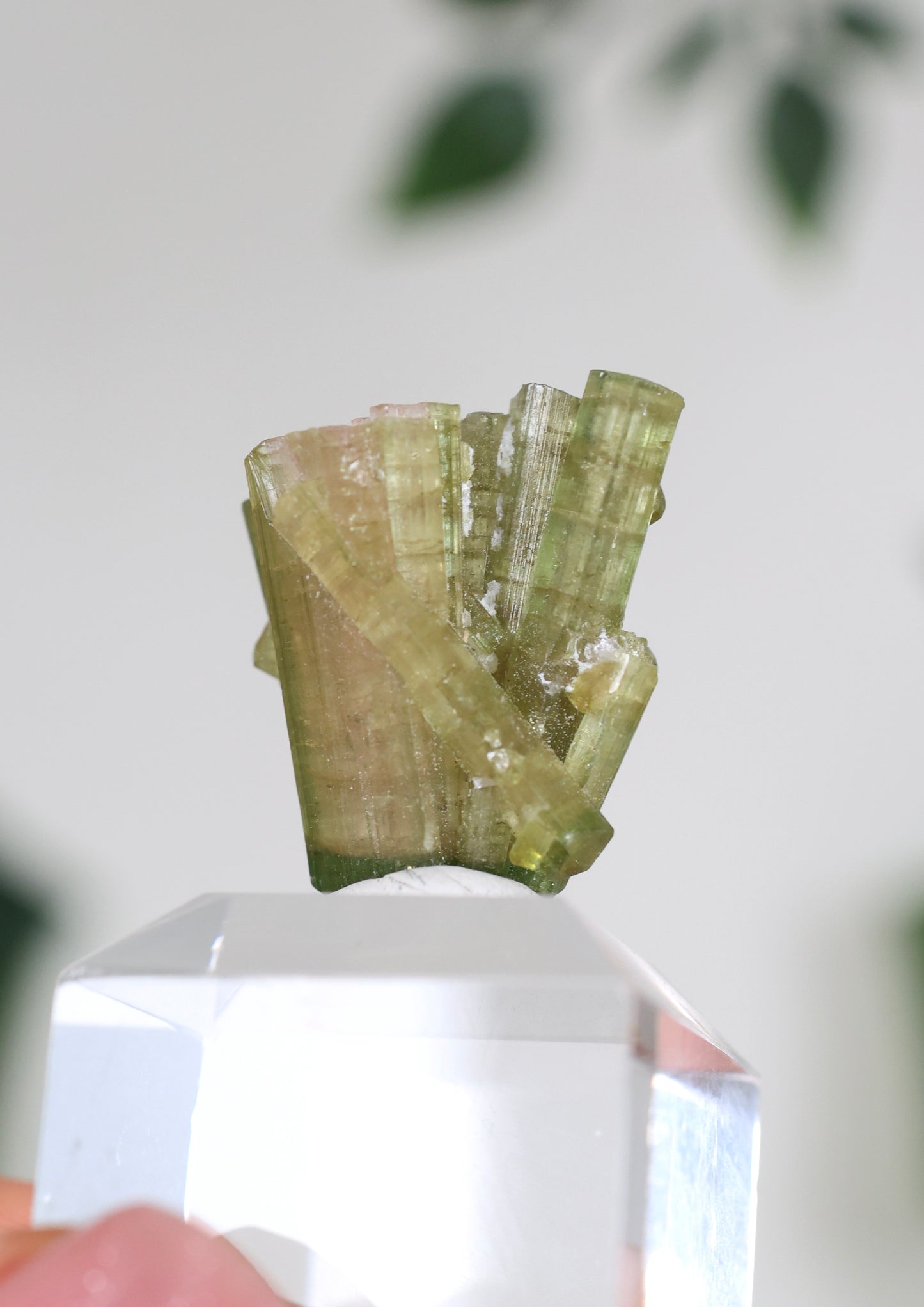 Grüner Turmalin Nr.35GT