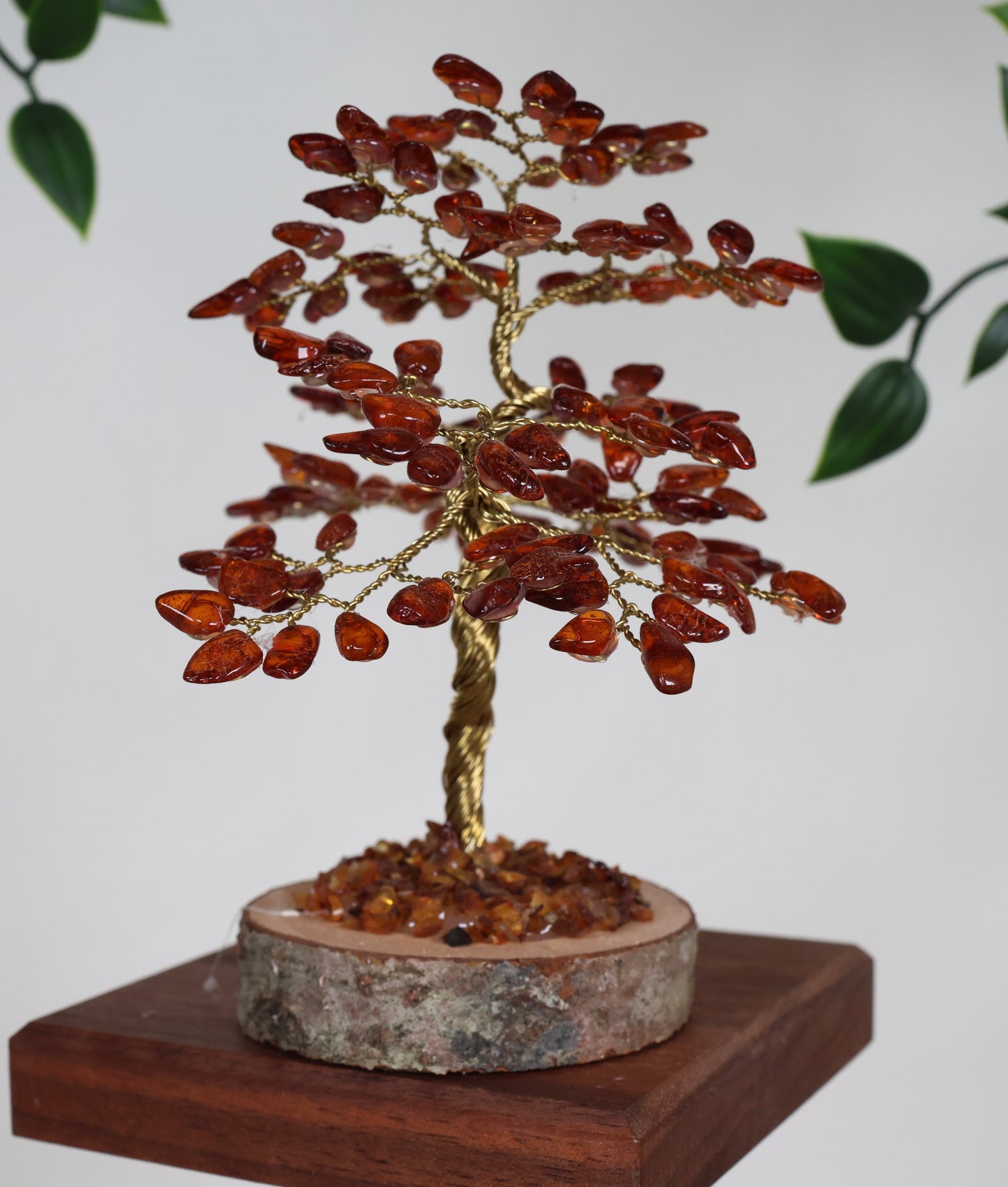 Bernstein Baum Nr.53B1