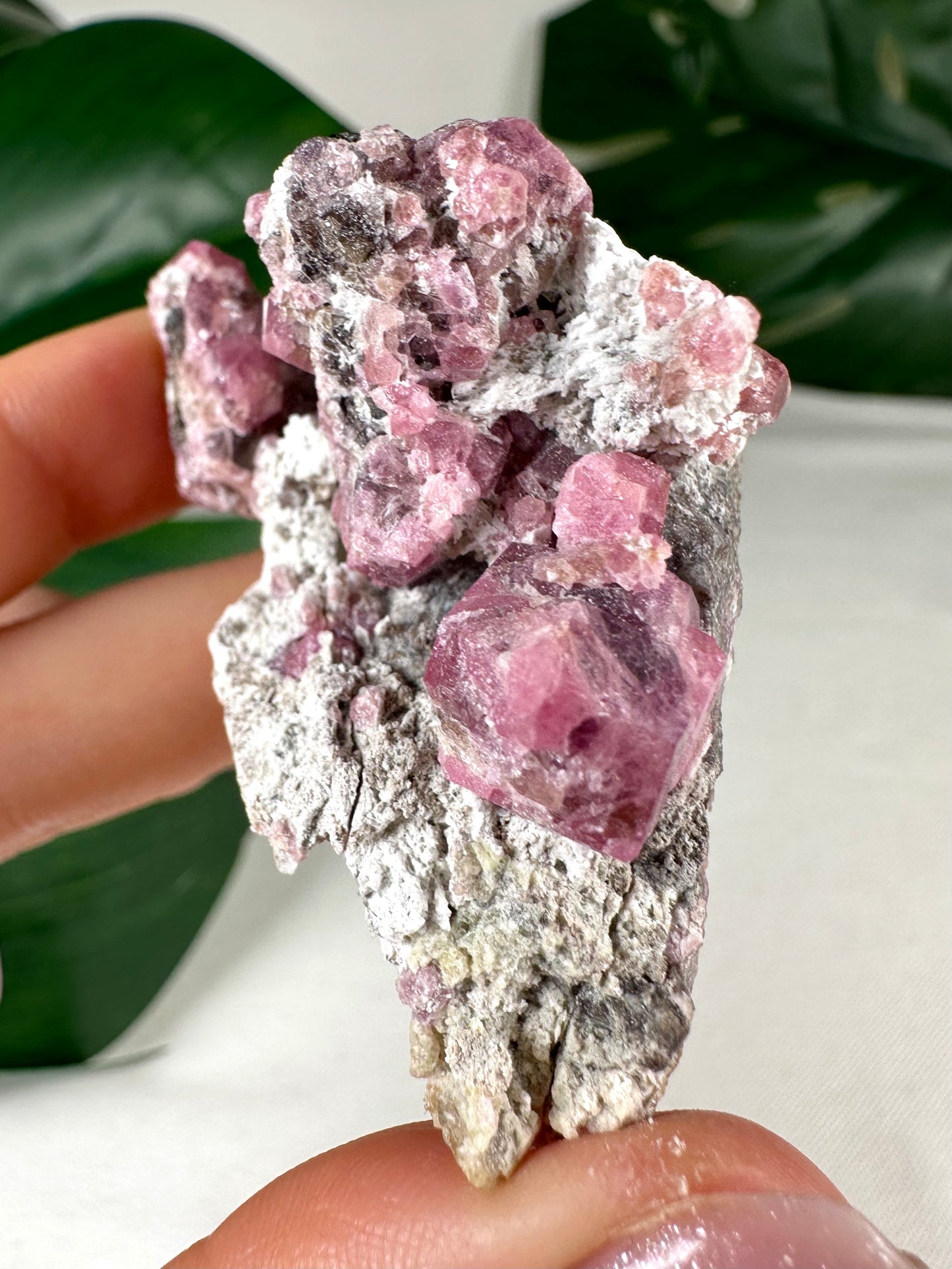 Pinker Granat Nr.36PG