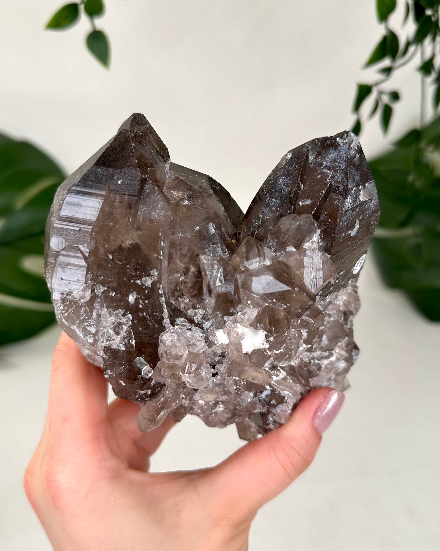 Malawi Smoky Quartz XL No. 140MR