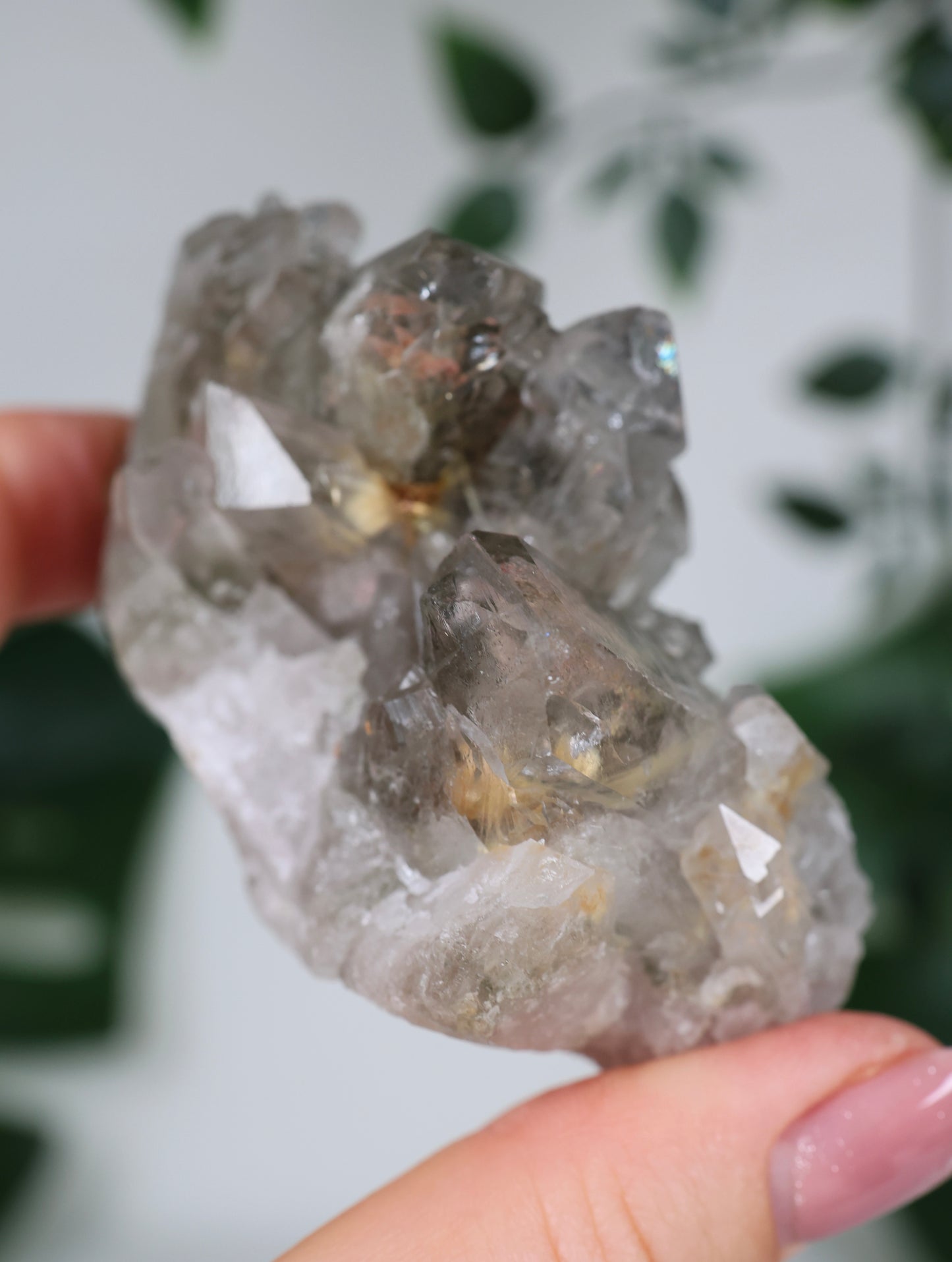 Gartenquarz x Rutil Cluster Nr.60GQ