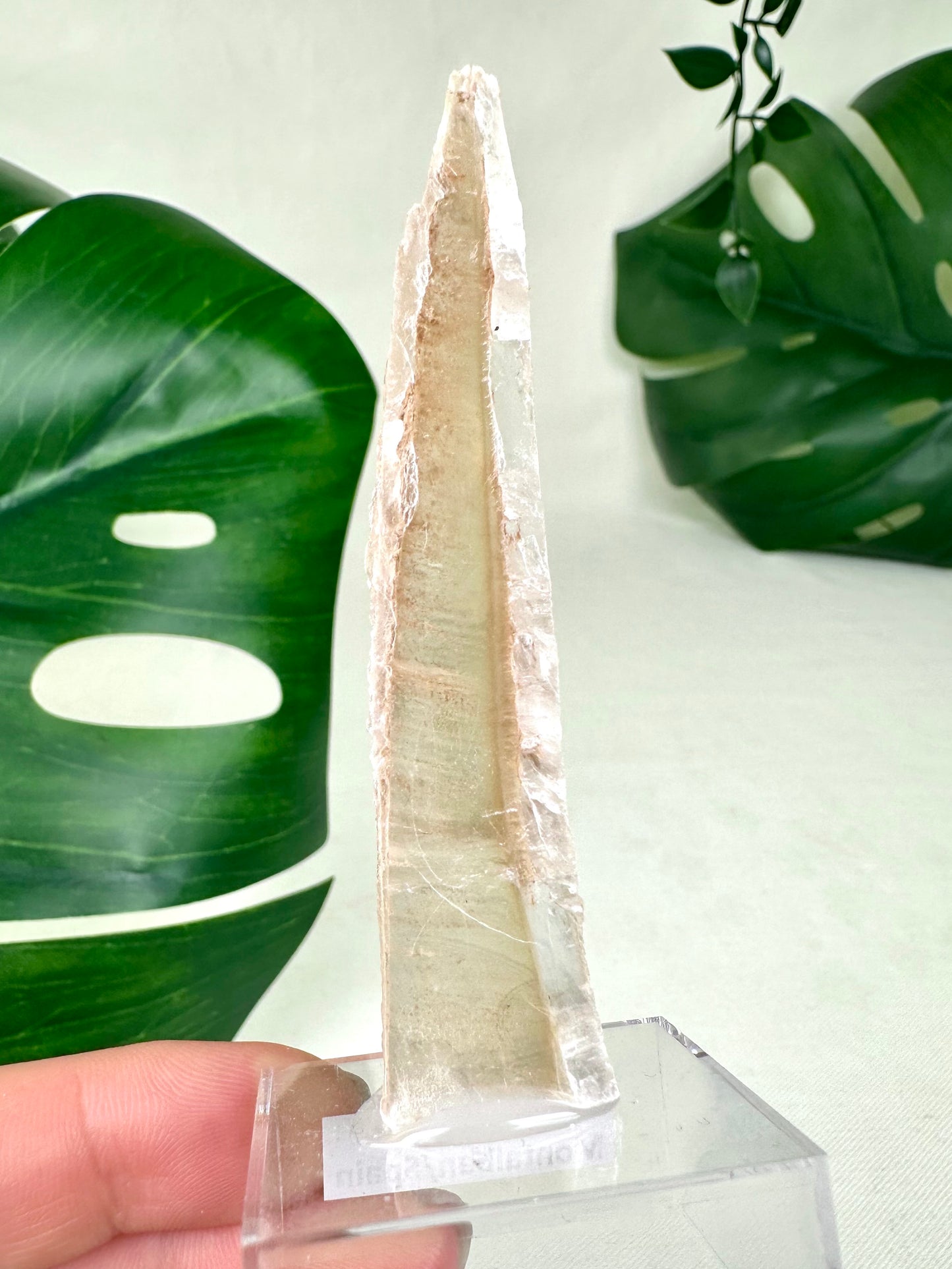 Bicolor Selenite No. 13BS