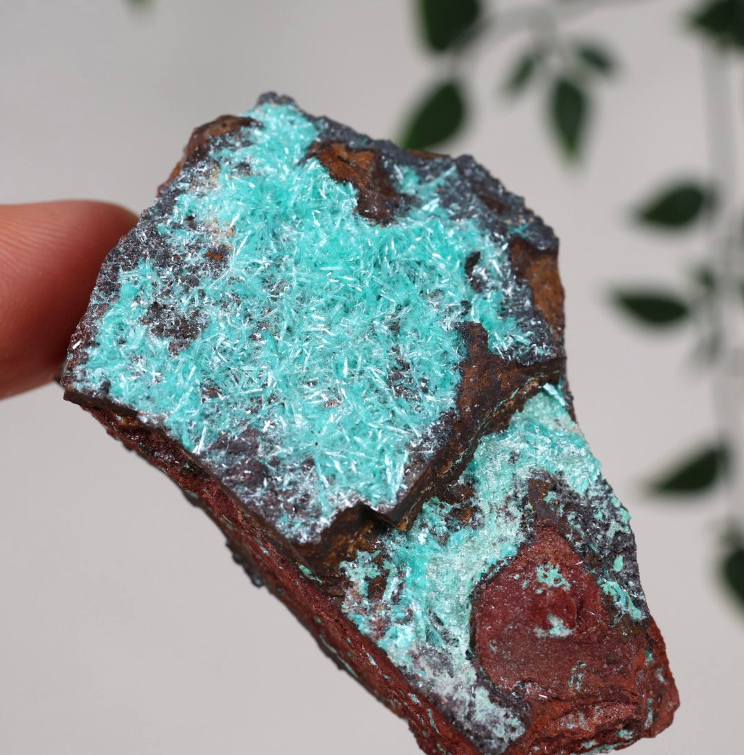 Aurichalcite Nr.27AU
