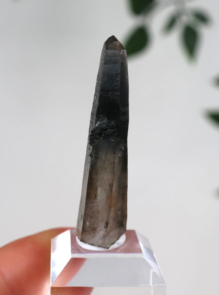 Malawi Quarz mit Riebeckit Nr.38MQ