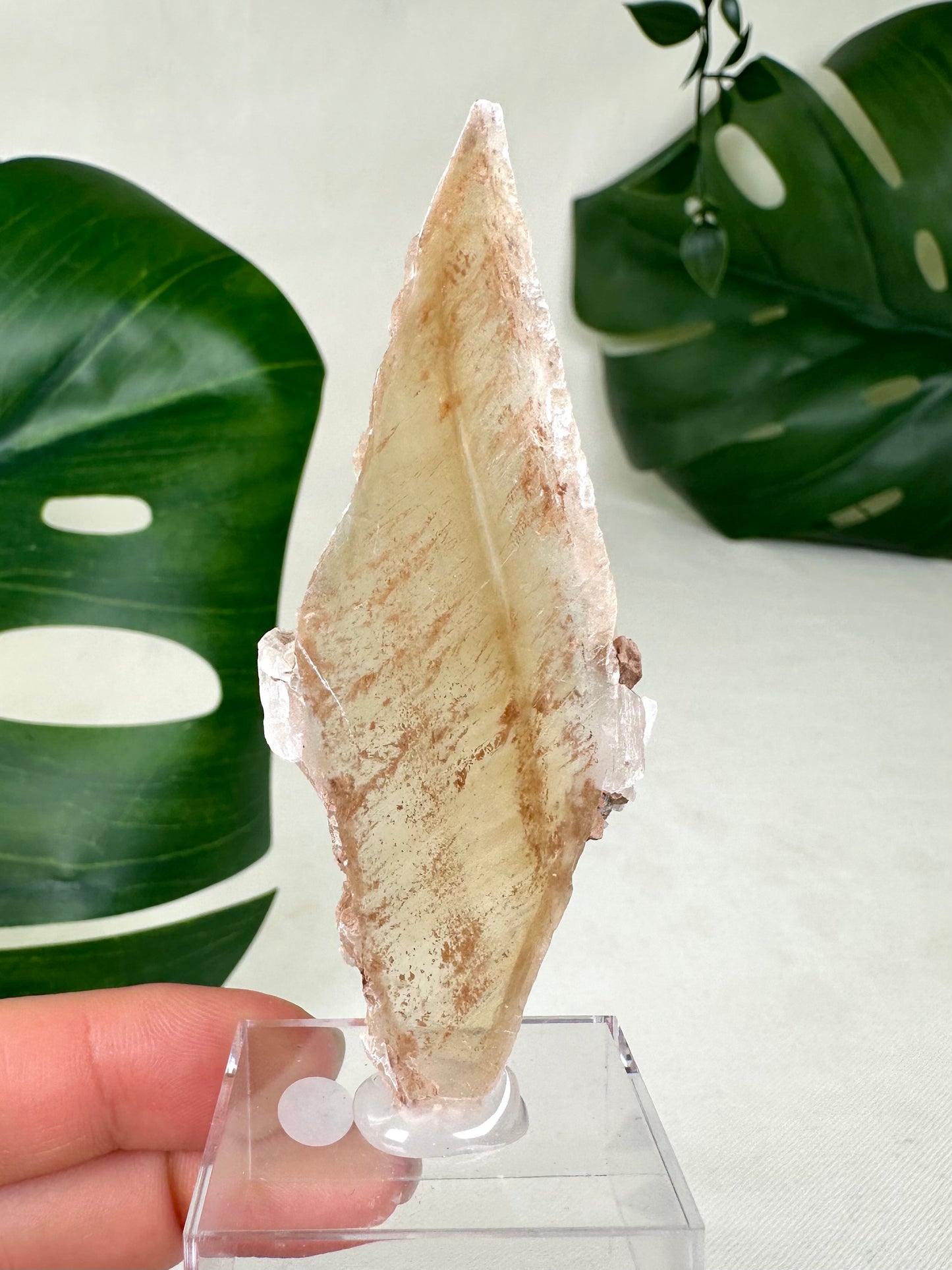 Bicolor Selenite No. 14S1
