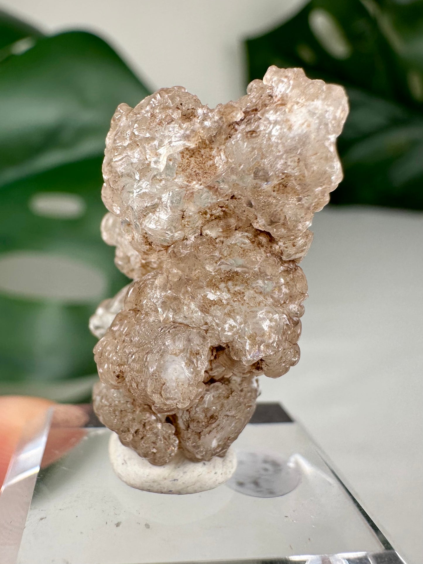 Hyalit Opal Nr.12HO