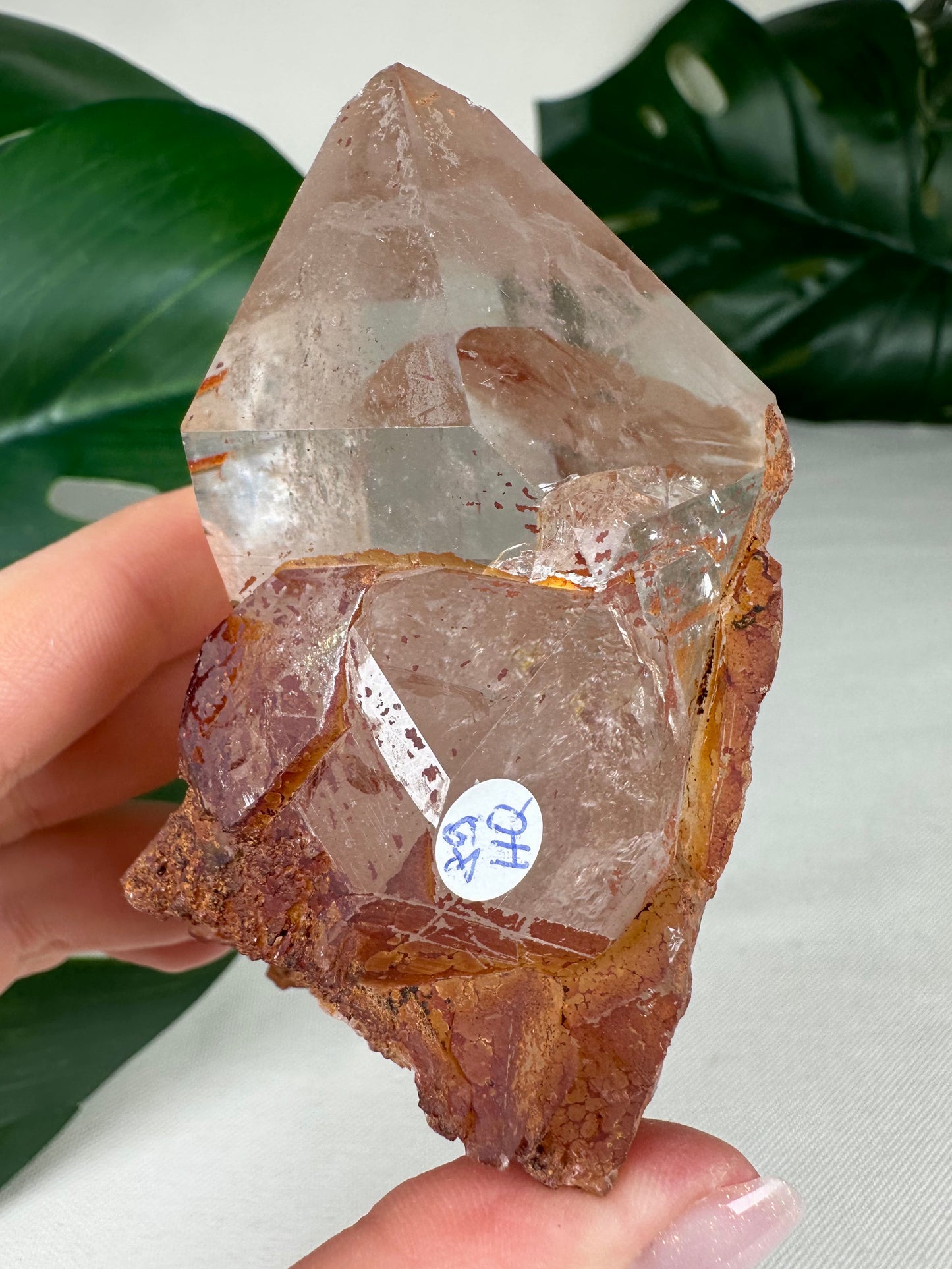 Himalaya Quarz Spitze Nr.89HQ