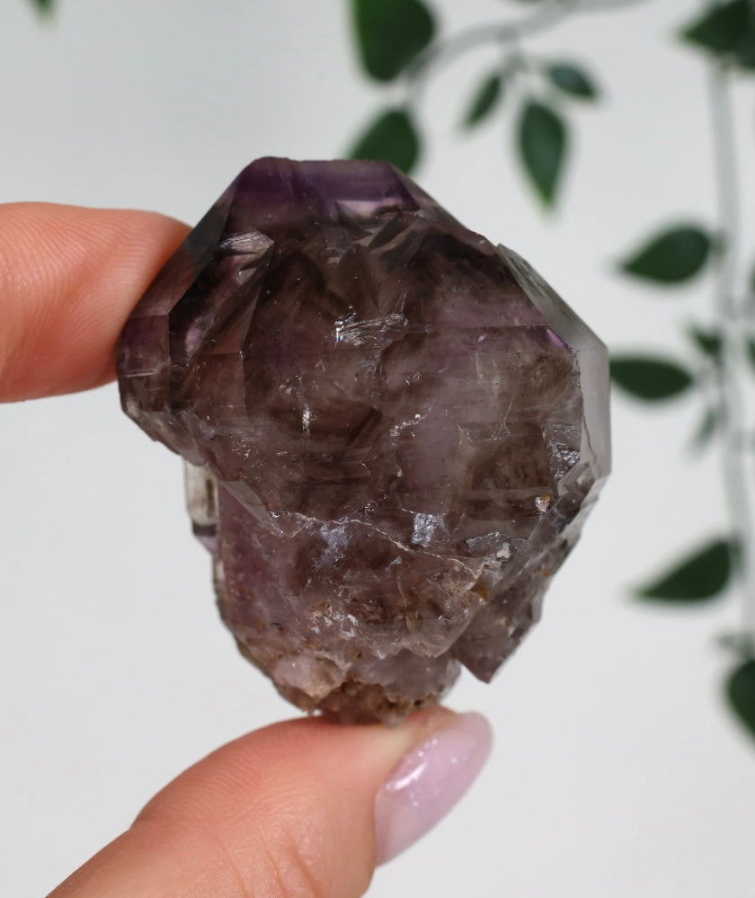 Shangaan Amethyst x Rauchquarz x Hämatit Nr.44SA