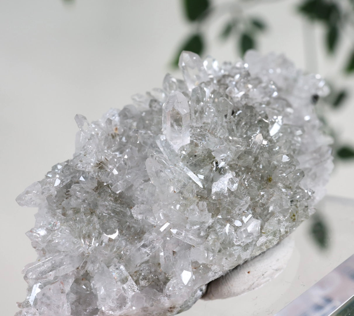 Starburst Quarz x Hämatit Goboboseb Nr.168GS