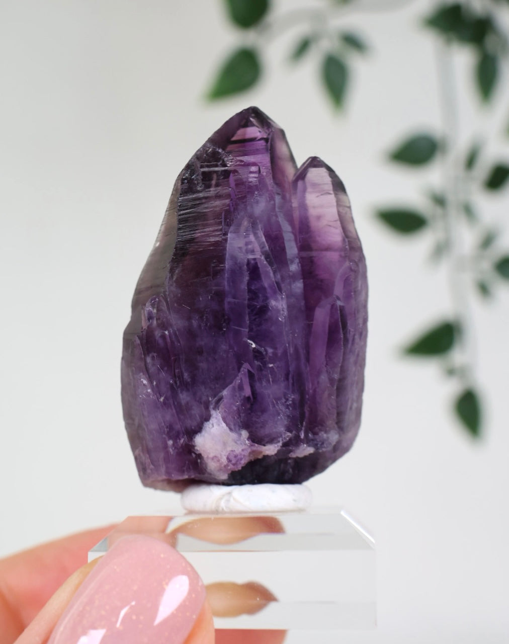 Amethyst - Neufund Nr.51AK