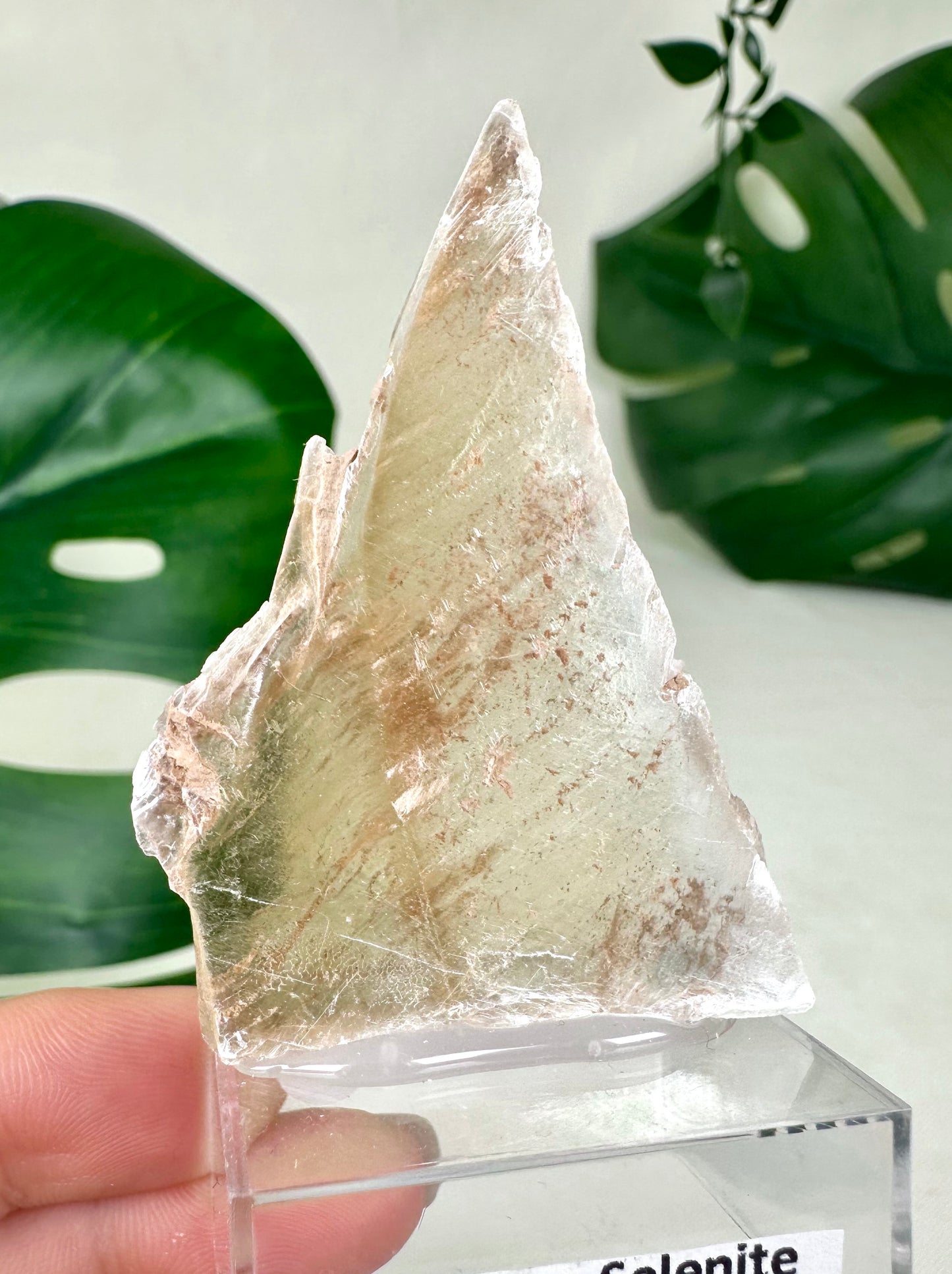 Bicolor Selenite No. 14S2