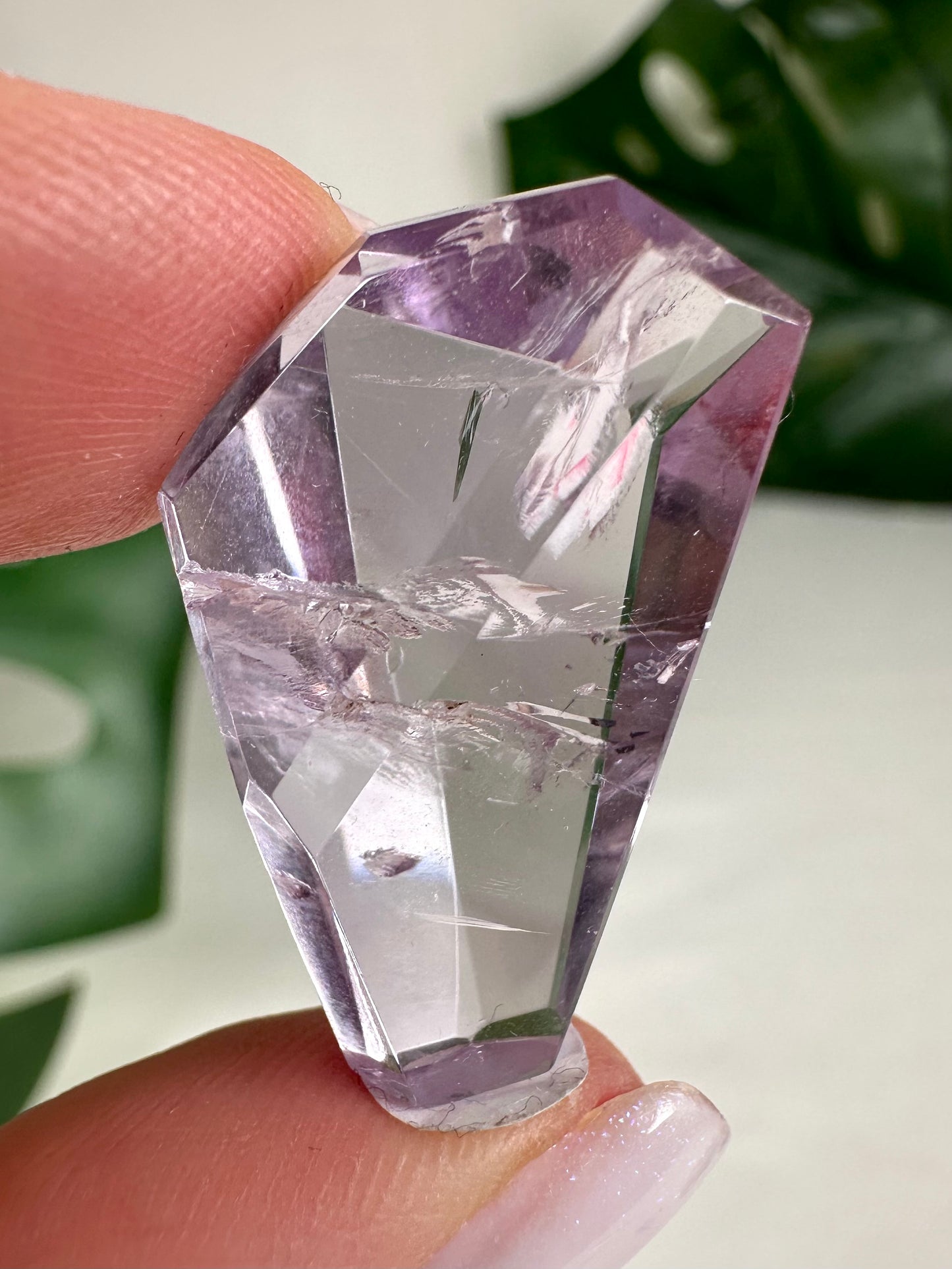 Rose de France Amethyst - Selection