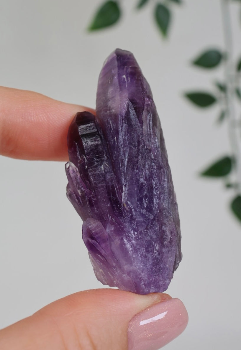 Amethyst - Neufund Nr.44A1