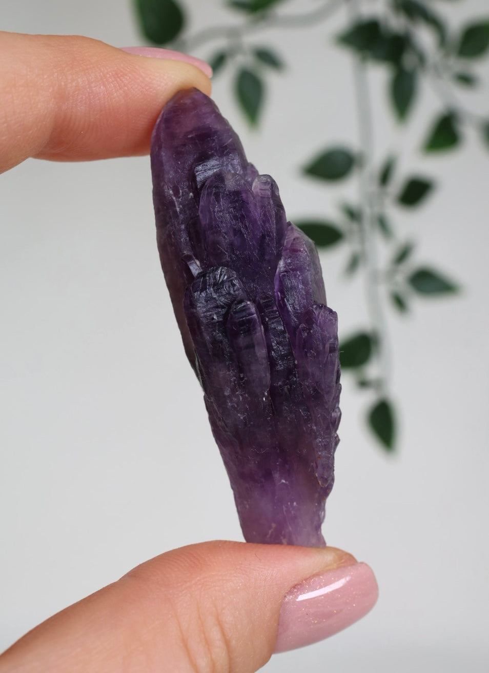 Amethyst - Neufund Nr.44A2