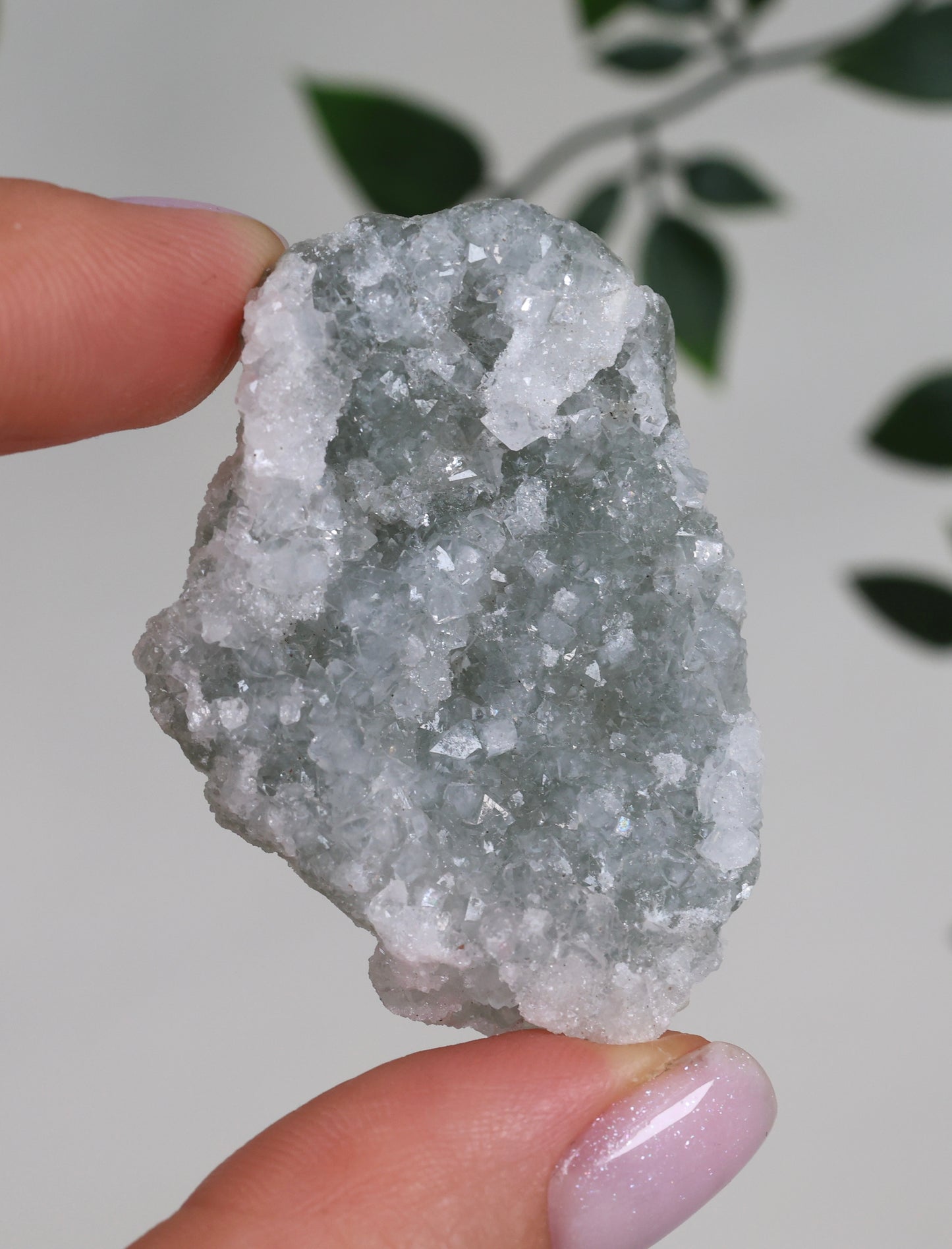 Grüner Apophyllit Crust Nr.23GA