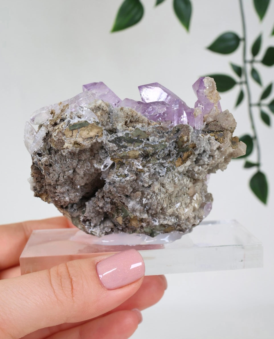 Vera Cruz Amethyst Nr.515VA