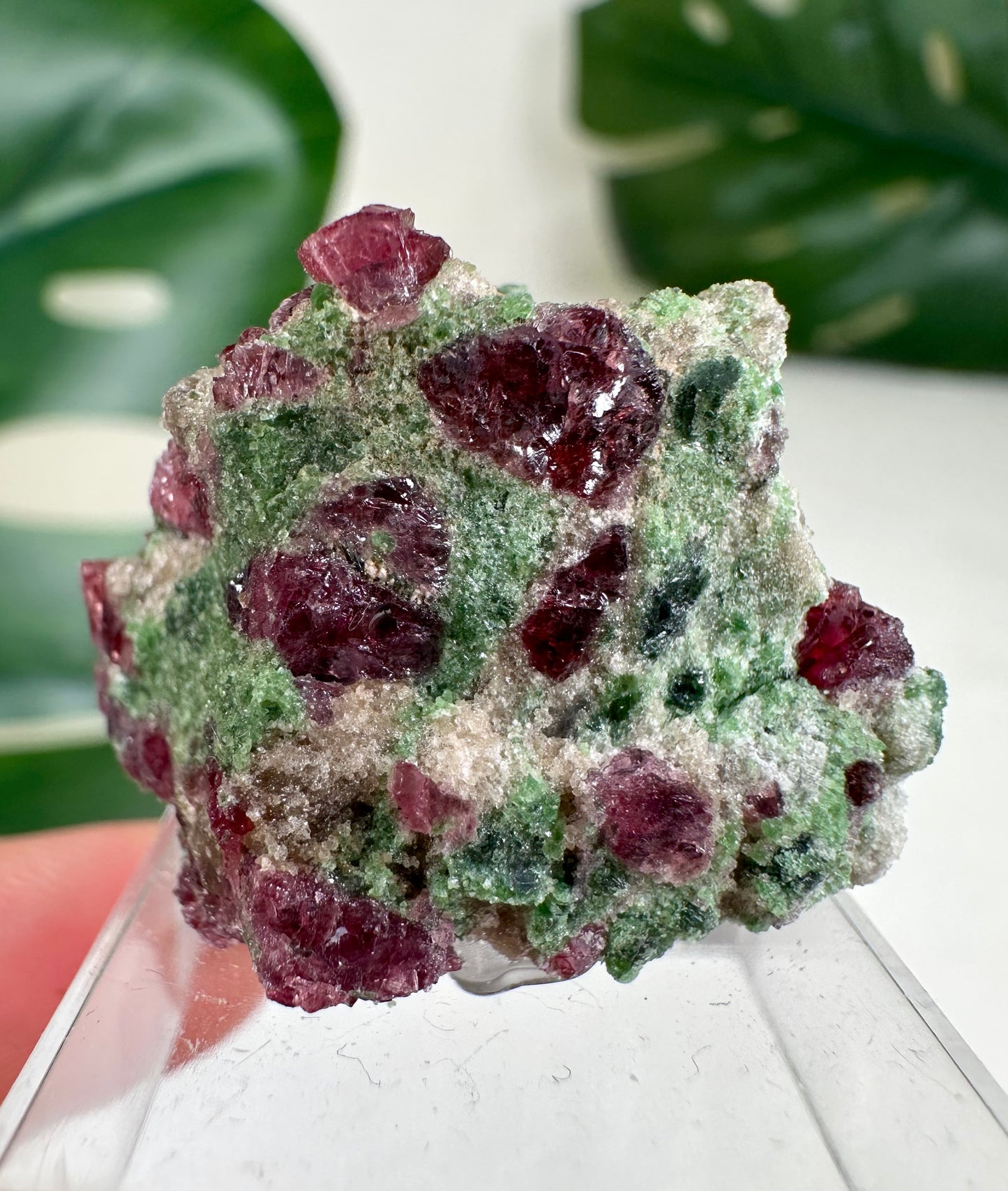 Pyrop Granat x Chromdiopsid Nr.76PC