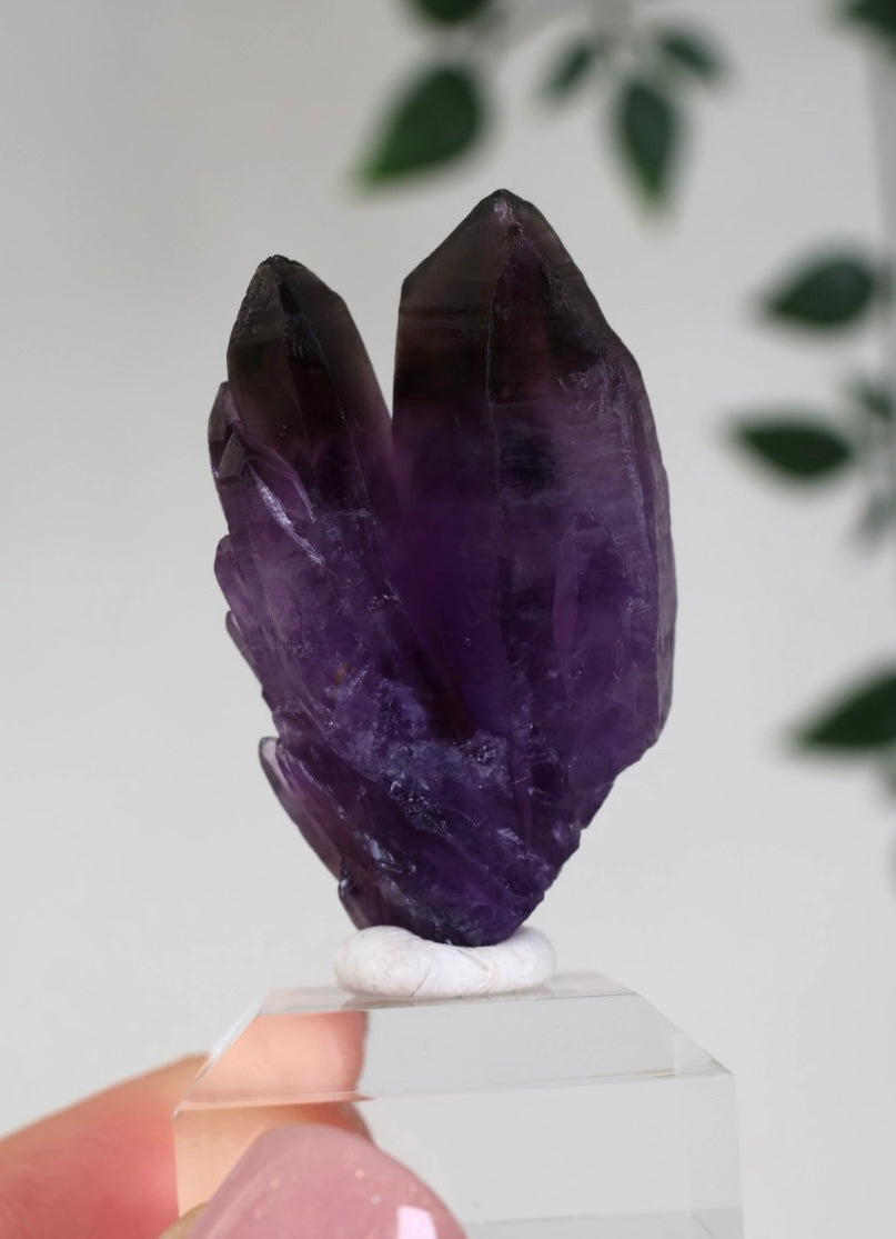 Amethyst - Neufund Nr.49AK