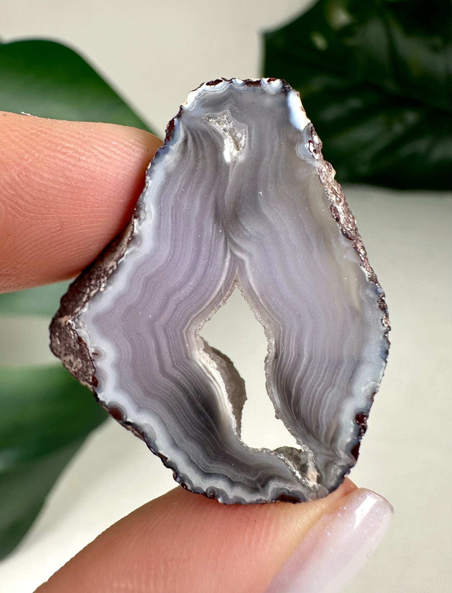 Coyamito Agate Slice - Purple - Selection